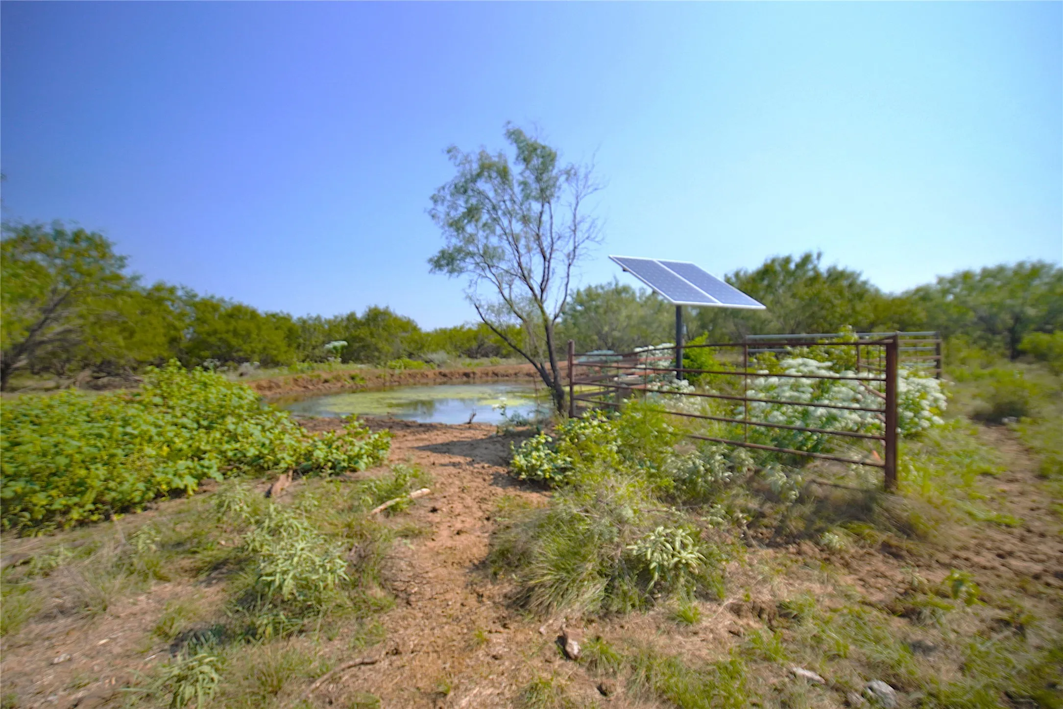 Ranch For Sale in Jack County , 262.71 Acres FM 1191, Jacksboro, Texas 76458, 0, 0, Garage spaces, 0 Sqft, built in 0, mls#21391970, Real Estate Agent in Jacksboro, Homes For Sale in Jack county, Homes For Sale in Jacksboro, Realtor in Jacksboro Texas, Real Estate Brokerage Independent Realty Texas, Luminita Cordes Realtor