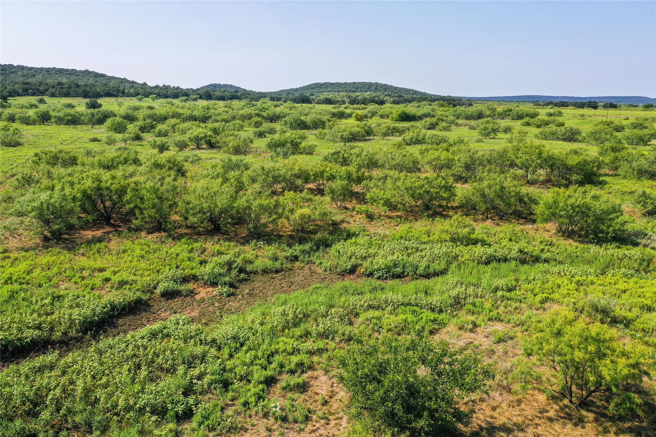 Ranch For Sale in Jack County , 262.71 Acres FM 1191, Jacksboro, Texas 76458, 0, 0, Garage spaces, 0 Sqft, built in 0, mls#21391970, Real Estate Agent in Jacksboro, Homes For Sale in Jack county, Homes For Sale in Jacksboro, Realtor in Jacksboro Texas, Real Estate Brokerage Independent Realty Texas, Luminita Cordes Realtor