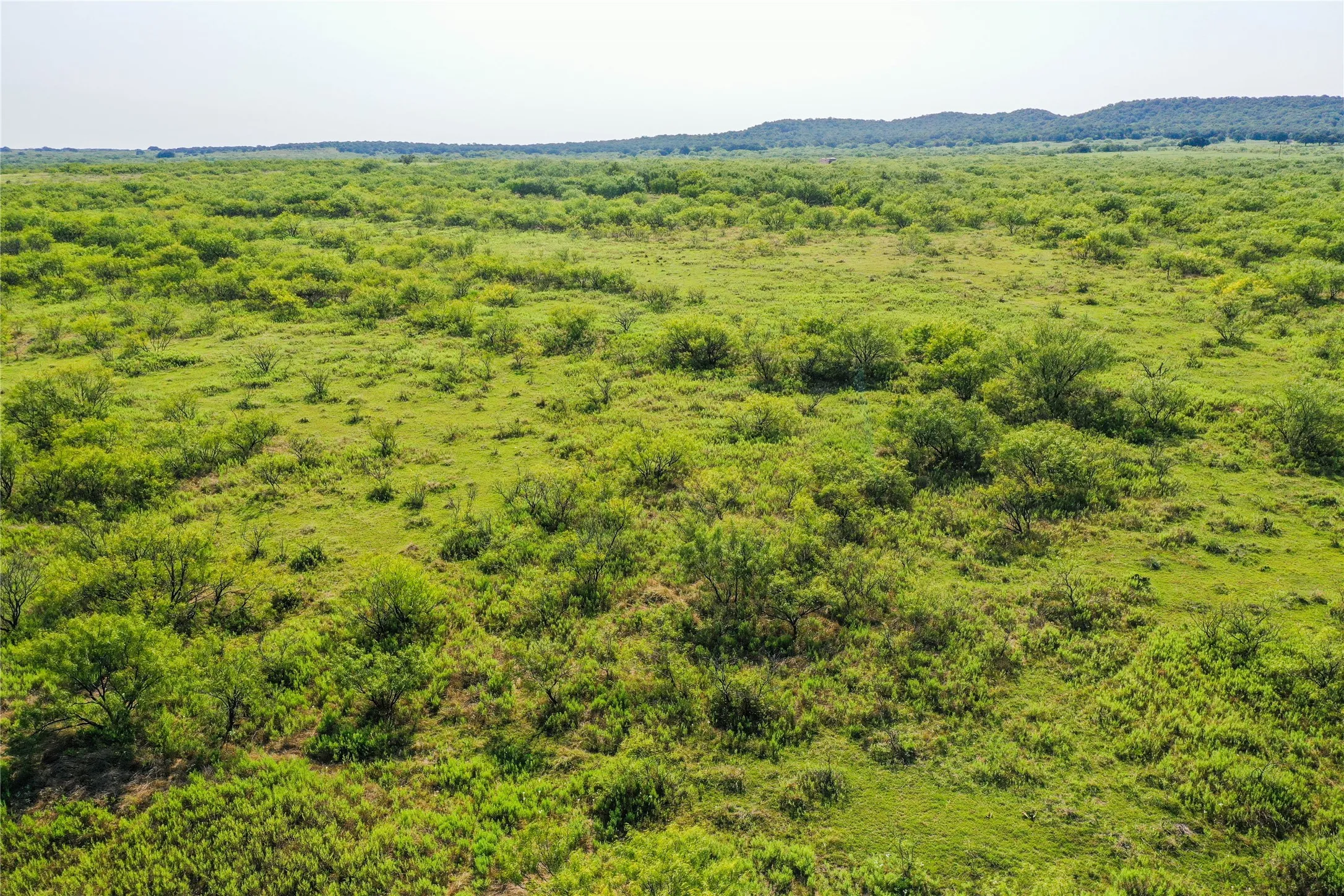 Ranch For Sale in Jack County , 262.71 Acres FM 1191, Jacksboro, Texas 76458, 0, 0, Garage spaces, 0 Sqft, built in 0, mls#21391970, Real Estate Agent in Jacksboro, Homes For Sale in Jack county, Homes For Sale in Jacksboro, Realtor in Jacksboro Texas, Real Estate Brokerage Independent Realty Texas, Luminita Cordes Realtor
