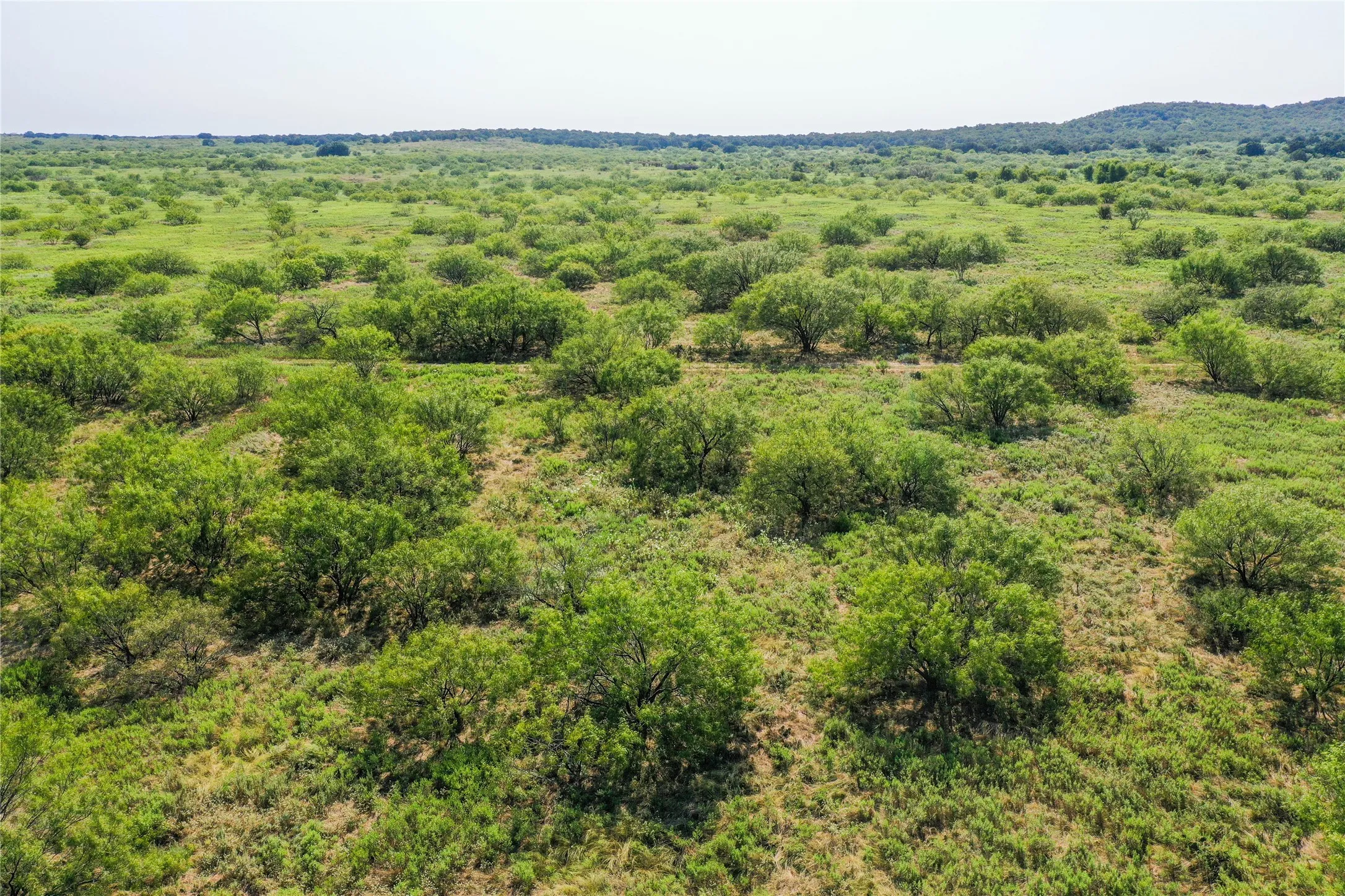 Ranch For Sale in Jack County , 262.71 Acres FM 1191, Jacksboro, Texas 76458, 0, 0, Garage spaces, 0 Sqft, built in 0, mls#21391970, Real Estate Agent in Jacksboro, Homes For Sale in Jack county, Homes For Sale in Jacksboro, Realtor in Jacksboro Texas, Real Estate Brokerage Independent Realty Texas, Luminita Cordes Realtor