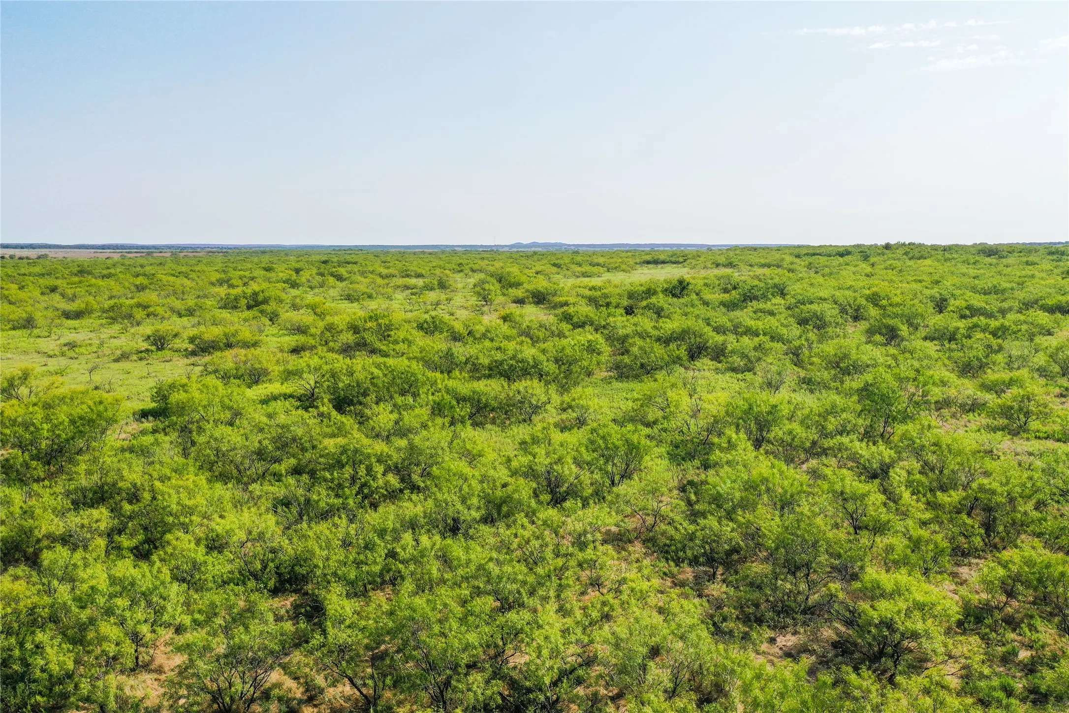 Ranch For Sale in Jack County , 262.71 Acres FM 1191, Jacksboro, Texas 76458, 0, 0, Garage spaces, 0 Sqft, built in 0, mls#21391970, Real Estate Agent in Jacksboro, Homes For Sale in Jack county, Homes For Sale in Jacksboro, Realtor in Jacksboro Texas, Real Estate Brokerage Independent Realty Texas, Luminita Cordes Realtor