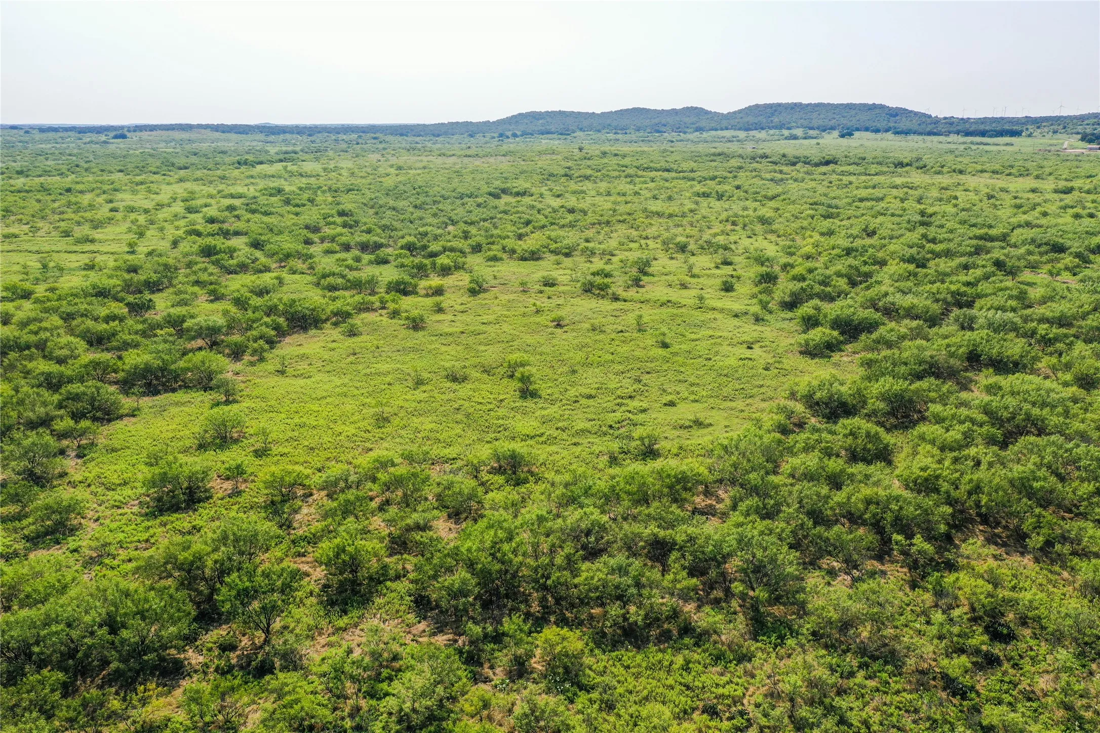 Ranch For Sale in Jack County , 262.71 Acres FM 1191, Jacksboro, Texas 76458, 0, 0, Garage spaces, 0 Sqft, built in 0, mls#21391970, Real Estate Agent in Jacksboro, Homes For Sale in Jack county, Homes For Sale in Jacksboro, Realtor in Jacksboro Texas, Real Estate Brokerage Independent Realty Texas, Luminita Cordes Realtor