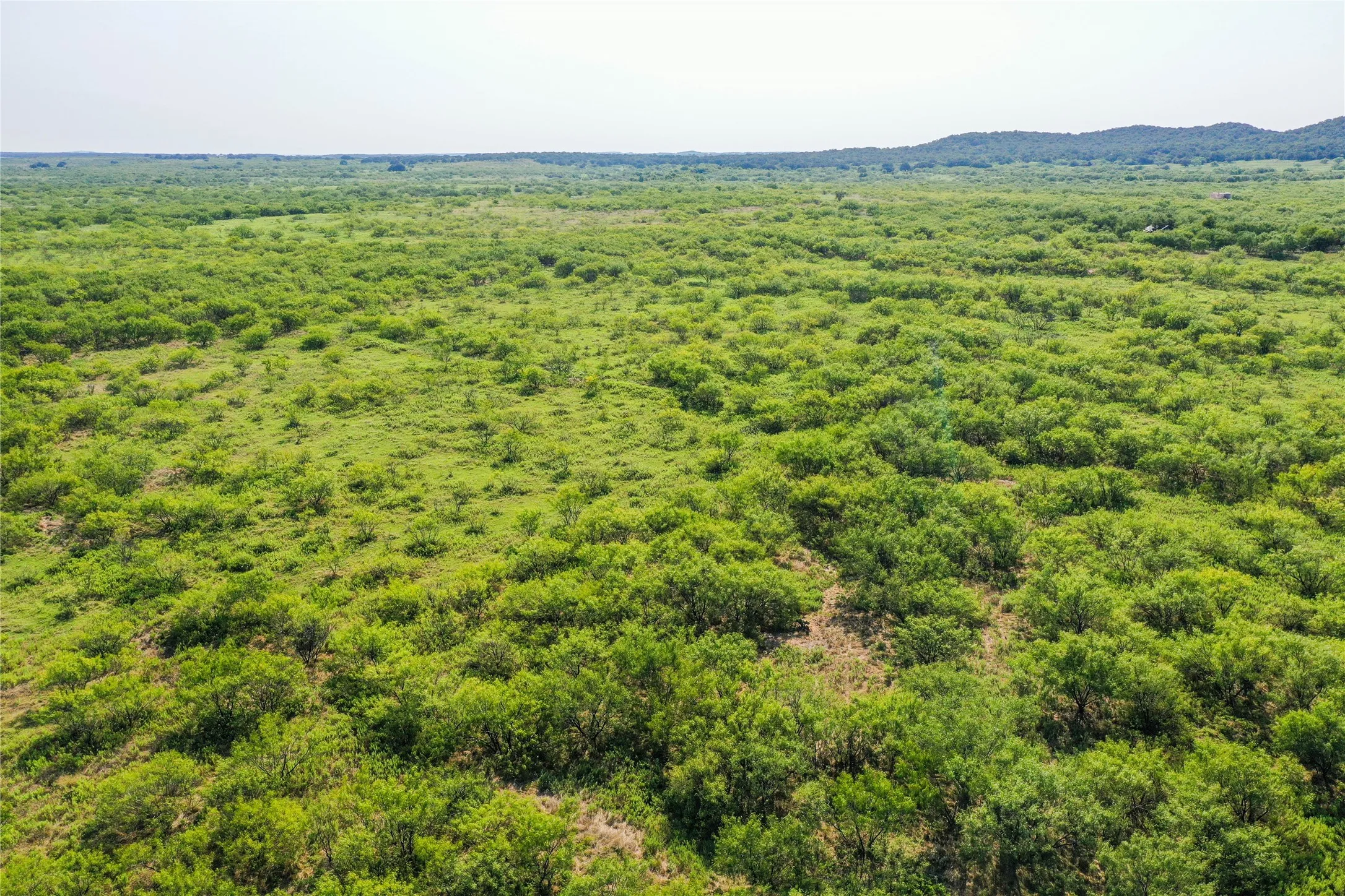 Ranch For Sale in Jack County , 262.71 Acres FM 1191, Jacksboro, Texas 76458, 0, 0, Garage spaces, 0 Sqft, built in 0, mls#21391970, Real Estate Agent in Jacksboro, Homes For Sale in Jack county, Homes For Sale in Jacksboro, Realtor in Jacksboro Texas, Real Estate Brokerage Independent Realty Texas, Luminita Cordes Realtor