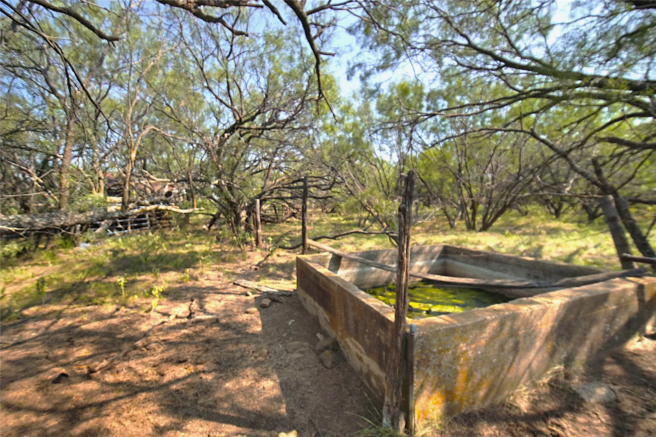Ranch For Sale in Jack County , 262.71 Acres FM 1191, Jacksboro, Texas 76458, 0, 0, Garage spaces, 0 Sqft, built in 0, mls#21391970, Real Estate Agent in Jacksboro, Homes For Sale in Jack county, Homes For Sale in Jacksboro, Realtor in Jacksboro Texas, Real Estate Brokerage Independent Realty Texas, Luminita Cordes Realtor