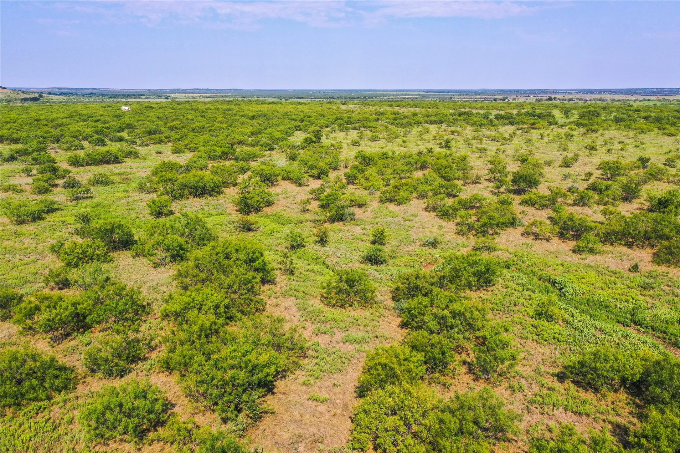 Ranch For Sale in Jack County , 262.71 Acres FM 1191, Jacksboro, Texas 76458, 0, 0, Garage spaces, 0 Sqft, built in 0, mls#21391970, Real Estate Agent in Jacksboro, Homes For Sale in Jack county, Homes For Sale in Jacksboro, Realtor in Jacksboro Texas, Real Estate Brokerage Independent Realty Texas, Luminita Cordes Realtor