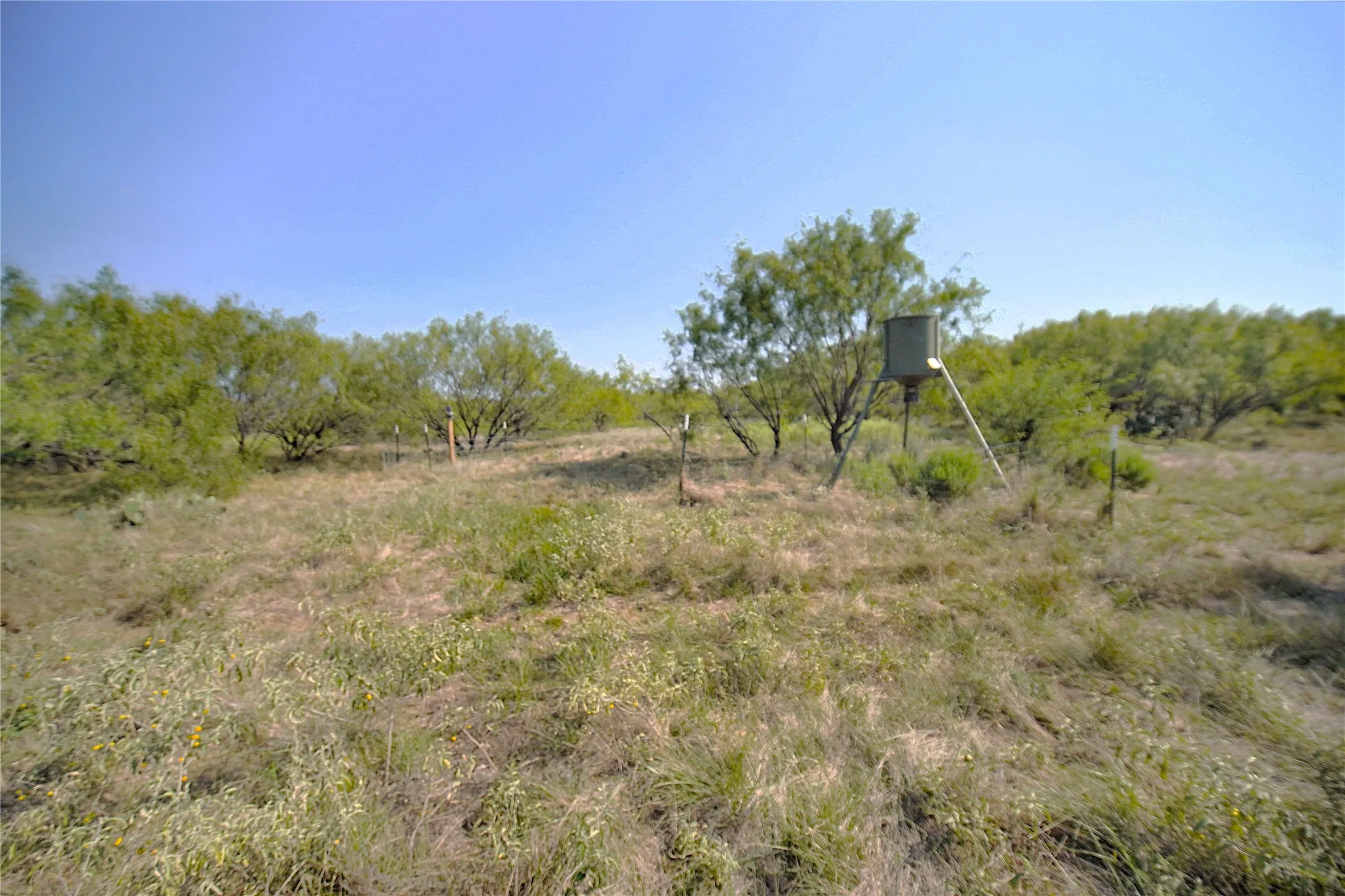 Ranch For Sale in Jack County , 262.71 Acres FM 1191, Jacksboro, Texas 76458, 0, 0, Garage spaces, 0 Sqft, built in 0, mls#21391970, Real Estate Agent in Jacksboro, Homes For Sale in Jack county, Homes For Sale in Jacksboro, Realtor in Jacksboro Texas, Real Estate Brokerage Independent Realty Texas, Luminita Cordes Realtor