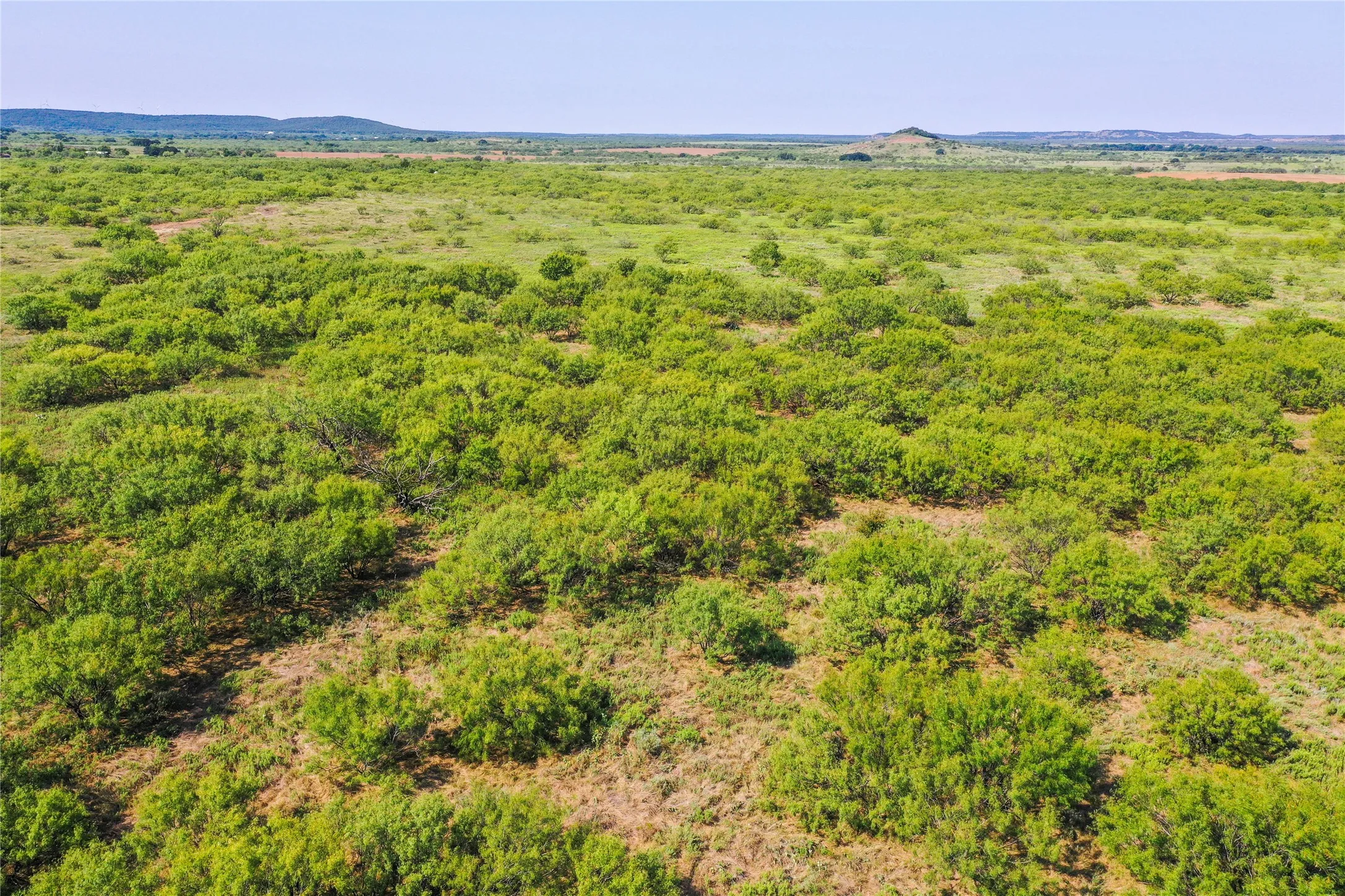 Ranch For Sale in Jack County , 262.71 Acres FM 1191, Jacksboro, Texas 76458, 0, 0, Garage spaces, 0 Sqft, built in 0, mls#21391970, Real Estate Agent in Jacksboro, Homes For Sale in Jack county, Homes For Sale in Jacksboro, Realtor in Jacksboro Texas, Real Estate Brokerage Independent Realty Texas, Luminita Cordes Realtor