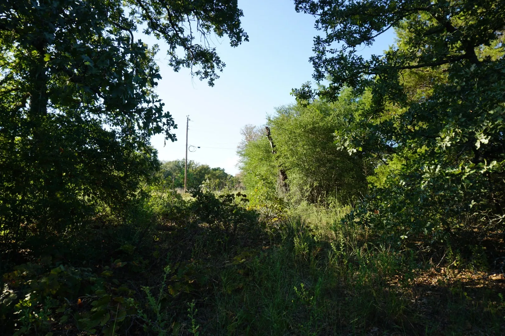 Unimproved Land For Sale in Henderson County , 12641 Private Road 5104, Athens, Texas 75751, 0, 0, Garage spaces, 0 Sqft, built in 0, mls#21391911, Real Estate Agent in Athens, Homes For Sale in Henderson county, Homes For Sale in Athens, Realtor in Athens Texas, Real Estate Brokerage Independent Realty Texas, Luminita Cordes Realtor