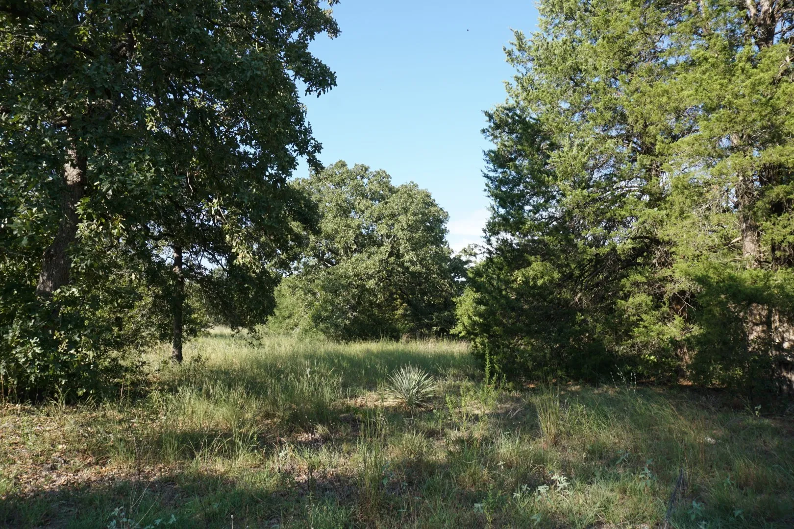 Unimproved Land For Sale in Henderson County , 12641 Private Road 5104, Athens, Texas 75751, 0, 0, Garage spaces, 0 Sqft, built in 0, mls#21391911, Real Estate Agent in Athens, Homes For Sale in Henderson county, Homes For Sale in Athens, Realtor in Athens Texas, Real Estate Brokerage Independent Realty Texas, Luminita Cordes Realtor