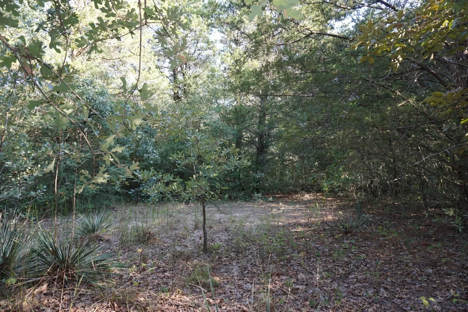 Unimproved Land For Sale in Henderson County , 12641 Private Road 5104, Athens, Texas 75751, 0, 0, Garage spaces, 0 Sqft, built in 0, mls#21391911, Real Estate Agent in Athens, Homes For Sale in Henderson county, Homes For Sale in Athens, Realtor in Athens Texas, Real Estate Brokerage Independent Realty Texas, Luminita Cordes Realtor