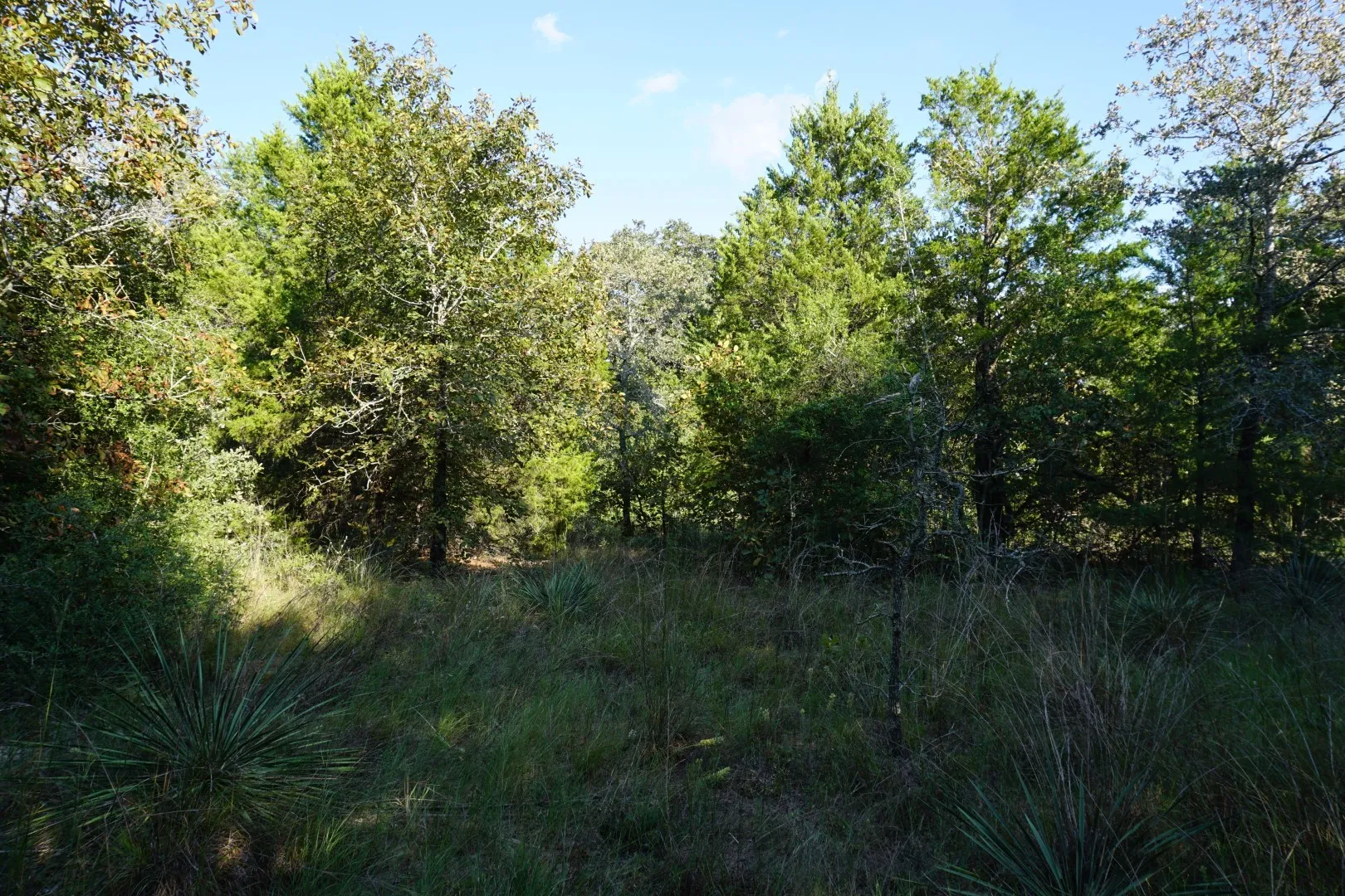 Unimproved Land For Sale in Henderson County , 12641 Private Road 5104, Athens, Texas 75751, 0, 0, Garage spaces, 0 Sqft, built in 0, mls#21391911, Real Estate Agent in Athens, Homes For Sale in Henderson county, Homes For Sale in Athens, Realtor in Athens Texas, Real Estate Brokerage Independent Realty Texas, Luminita Cordes Realtor