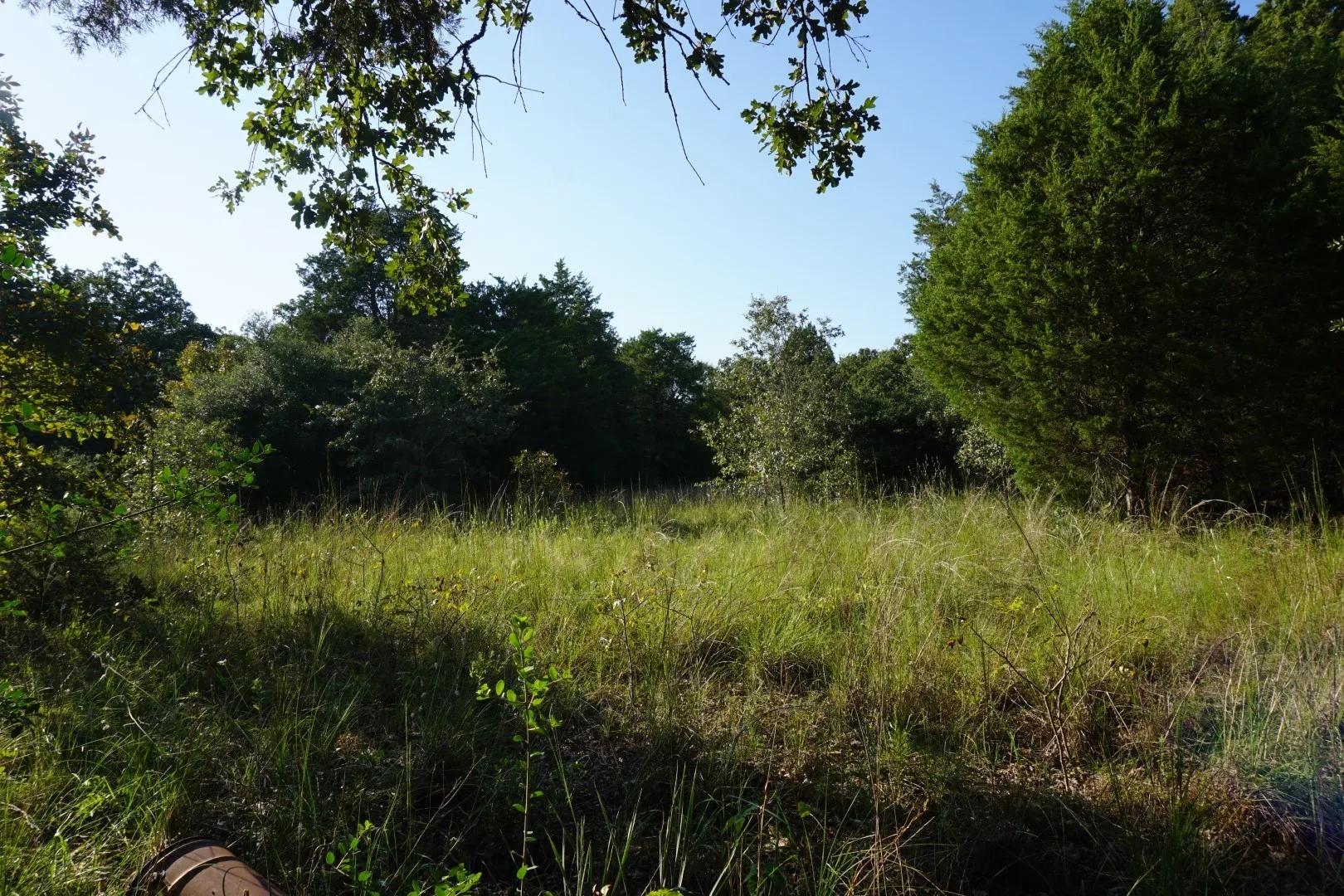 Unimproved Land For Sale in Henderson County , 12641 Private Road 5104, Athens, Texas 75751, 0, 0, Garage spaces, 0 Sqft, built in 0, mls#21391911, Real Estate Agent in Athens, Homes For Sale in Henderson county, Homes For Sale in Athens, Realtor in Athens Texas, Real Estate Brokerage Independent Realty Texas, Luminita Cordes Realtor