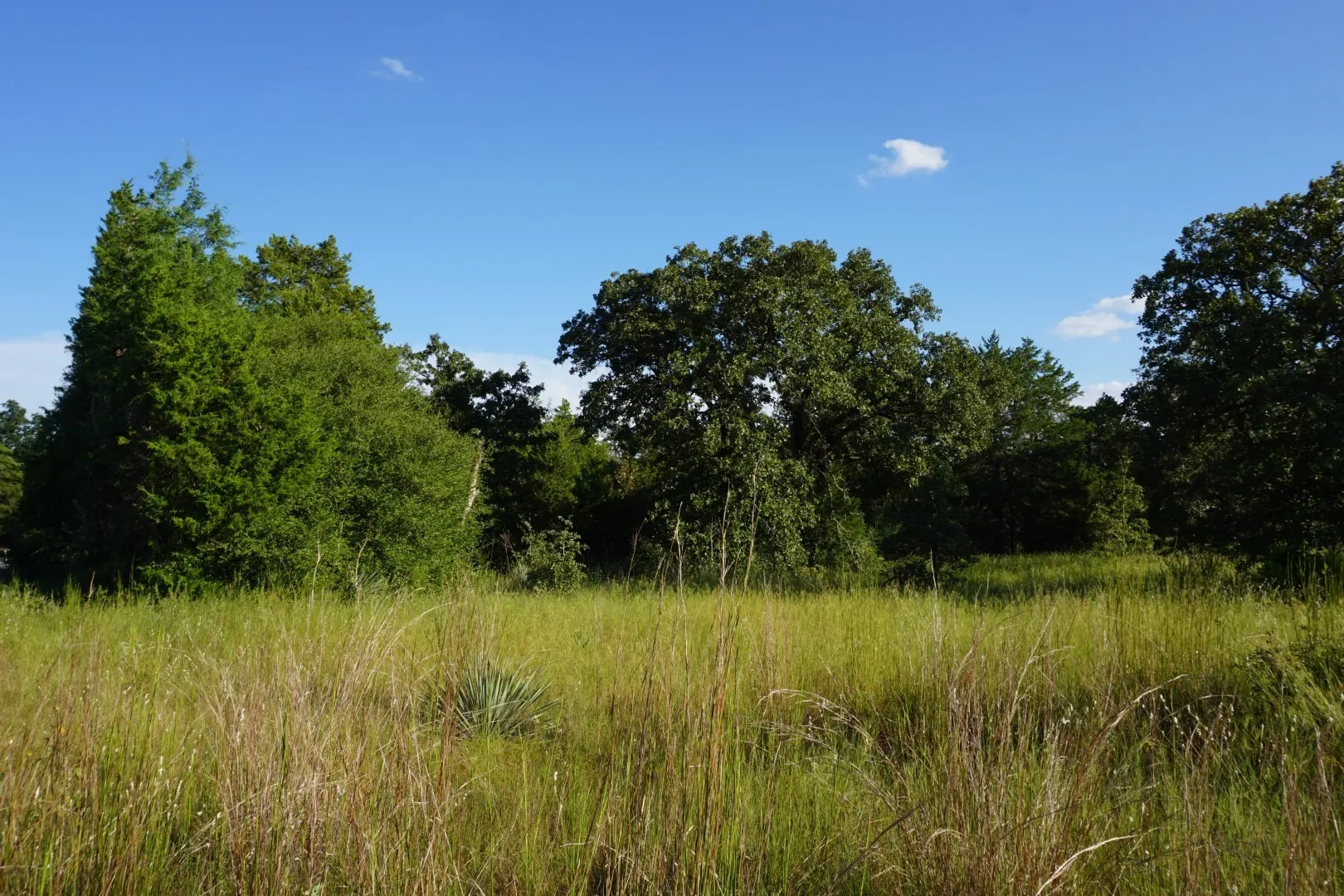 Unimproved Land For Sale in Henderson County , 12641 Private Road 5104, Athens, Texas 75751, 0, 0, Garage spaces, 0 Sqft, built in 0, mls#21391911, Real Estate Agent in Athens, Homes For Sale in Henderson county, Homes For Sale in Athens, Realtor in Athens Texas, Real Estate Brokerage Independent Realty Texas, Luminita Cordes Realtor
