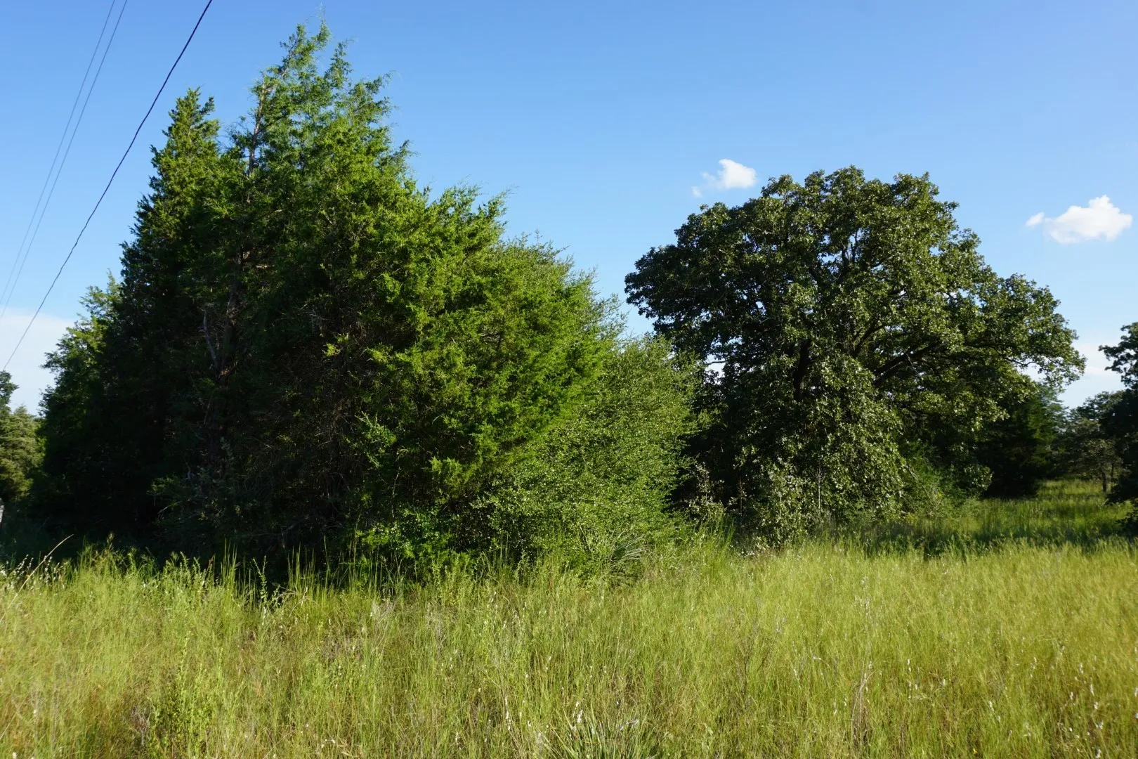 Unimproved Land For Sale in Henderson County , 12641 Private Road 5104, Athens, Texas 75751, 0, 0, Garage spaces, 0 Sqft, built in 0, mls#21391911, Real Estate Agent in Athens, Homes For Sale in Henderson county, Homes For Sale in Athens, Realtor in Athens Texas, Real Estate Brokerage Independent Realty Texas, Luminita Cordes Realtor