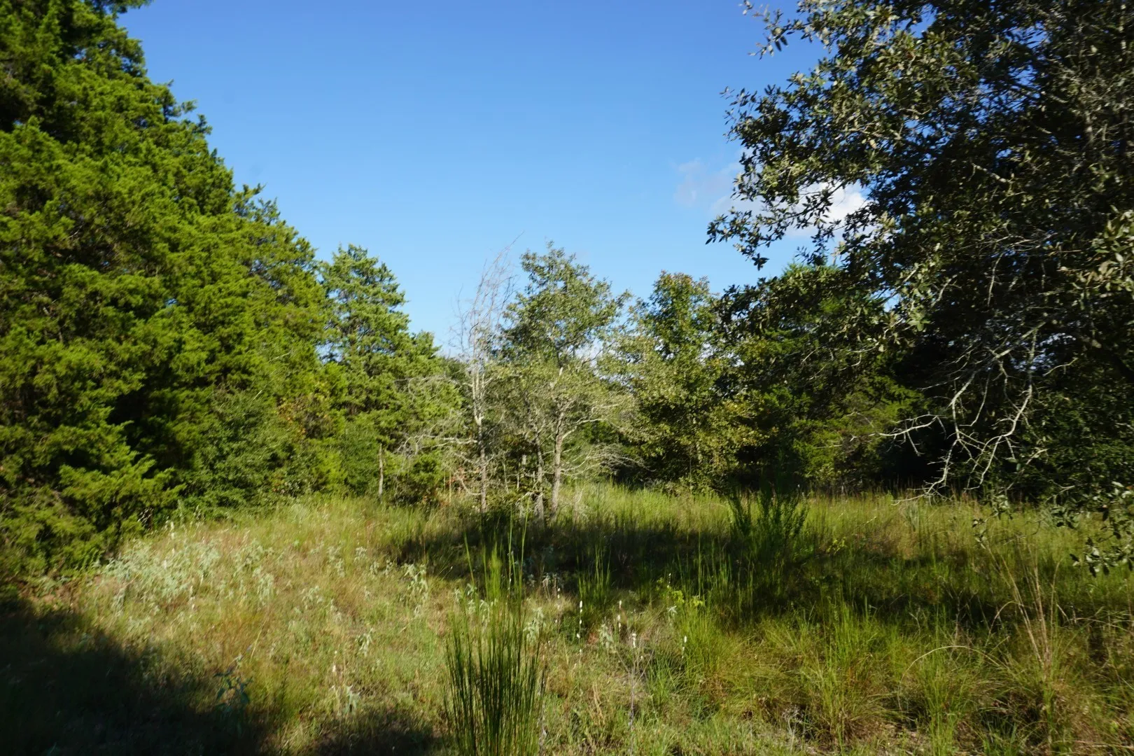 Unimproved Land For Sale in Henderson County , 12641 Private Road 5104, Athens, Texas 75751, 0, 0, Garage spaces, 0 Sqft, built in 0, mls#21391911, Real Estate Agent in Athens, Homes For Sale in Henderson county, Homes For Sale in Athens, Realtor in Athens Texas, Real Estate Brokerage Independent Realty Texas, Luminita Cordes Realtor