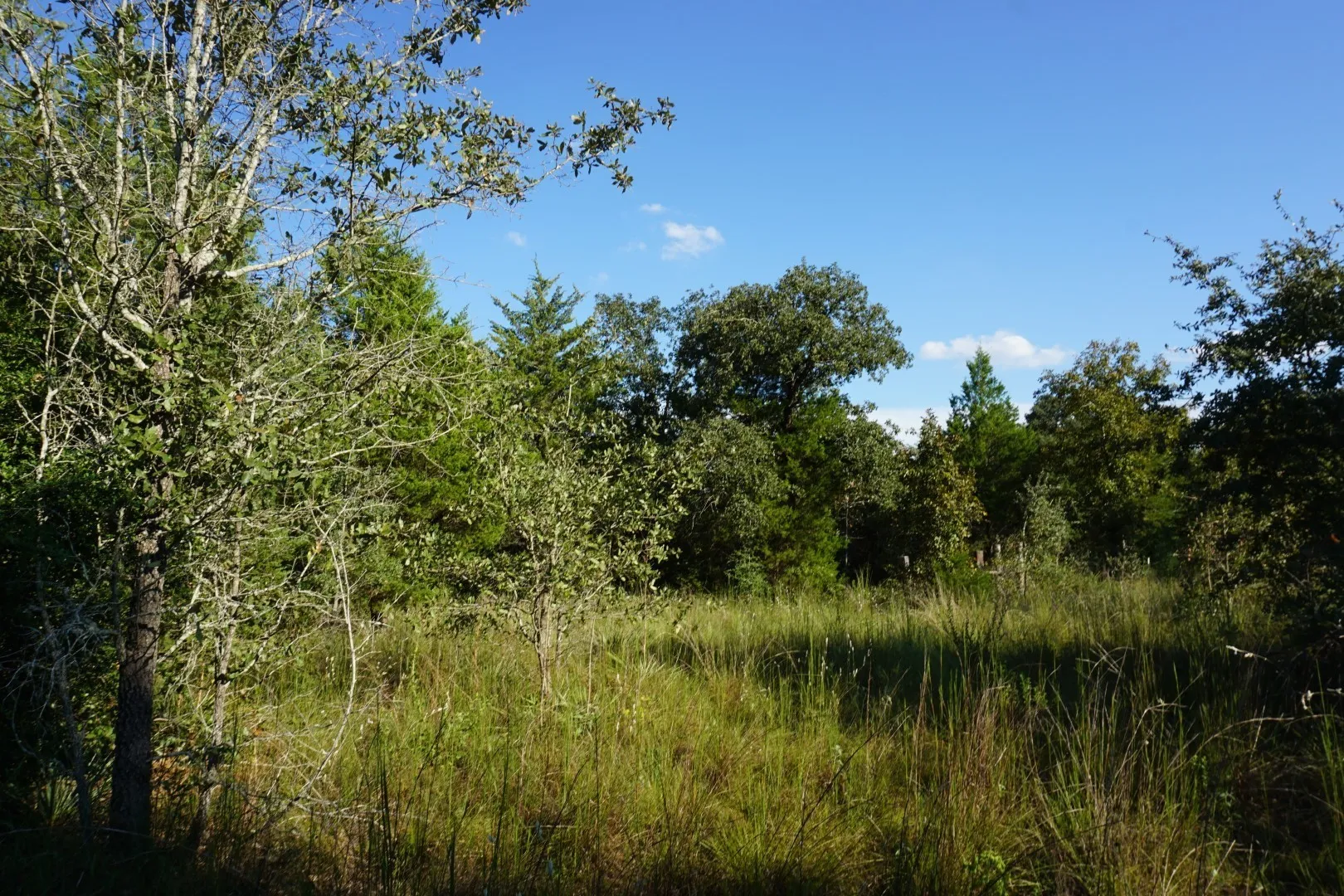 Unimproved Land For Sale in Henderson County , 12641 Private Road 5104, Athens, Texas 75751, 0, 0, Garage spaces, 0 Sqft, built in 0, mls#21391911, Real Estate Agent in Athens, Homes For Sale in Henderson county, Homes For Sale in Athens, Realtor in Athens Texas, Real Estate Brokerage Independent Realty Texas, Luminita Cordes Realtor