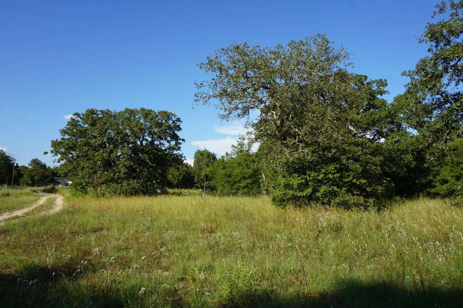 Unimproved Land For Sale in Henderson County , 12641 Private Road 5104, Athens, Texas 75751, 0, 0, Garage spaces, 0 Sqft, built in 0, mls#21391911, Real Estate Agent in Athens, Homes For Sale in Henderson county, Homes For Sale in Athens, Realtor in Athens Texas, Real Estate Brokerage Independent Realty Texas, Luminita Cordes Realtor