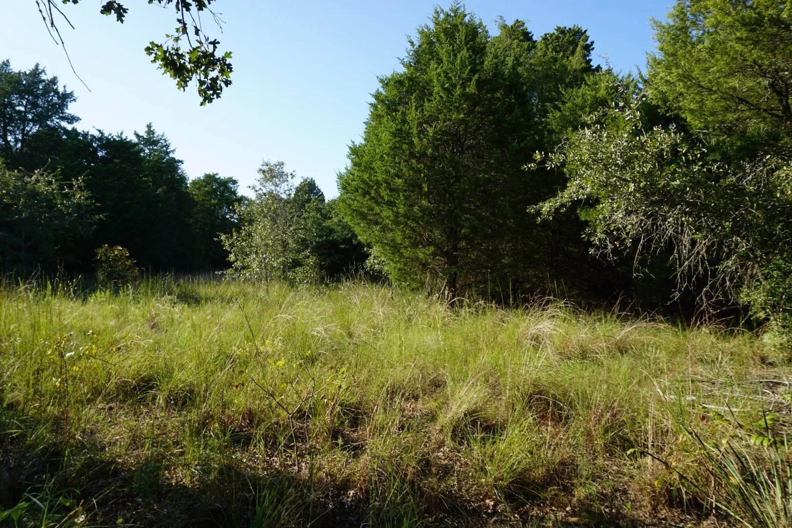 Unimproved Land For Sale in Henderson County , 12641 Private Road 5104, Athens, Texas 75751, 0, 0, Garage spaces, 0 Sqft, built in 0, mls#21391911, Real Estate Agent in Athens, Homes For Sale in Henderson county, Homes For Sale in Athens, Realtor in Athens Texas, Real Estate Brokerage Independent Realty Texas, Luminita Cordes Realtor