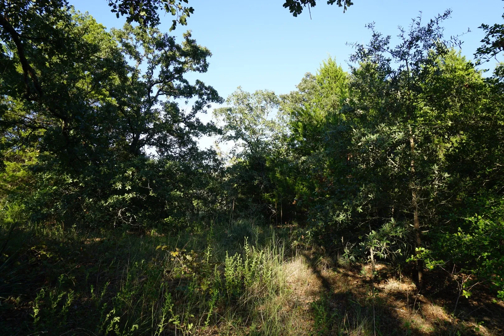 Unimproved Land For Sale in Henderson County , 12641 Private Road 5104, Athens, Texas 75751, 0, 0, Garage spaces, 0 Sqft, built in 0, mls#21391911, Real Estate Agent in Athens, Homes For Sale in Henderson county, Homes For Sale in Athens, Realtor in Athens Texas, Real Estate Brokerage Independent Realty Texas, Luminita Cordes Realtor