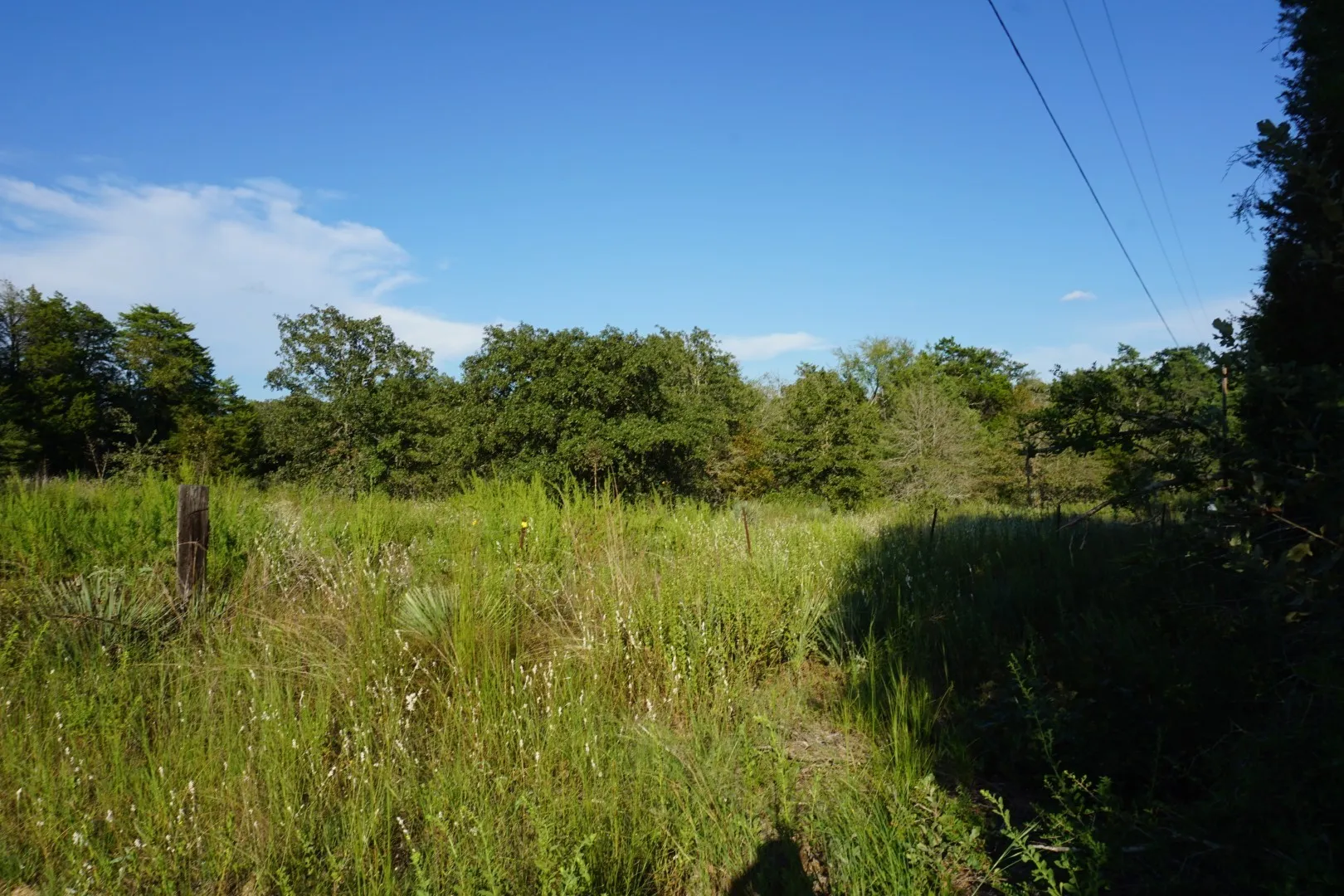 Unimproved Land For Sale in Henderson County , 12641 Private Road 5104, Athens, Texas 75751, 0, 0, Garage spaces, 0 Sqft, built in 0, mls#21391911, Real Estate Agent in Athens, Homes For Sale in Henderson county, Homes For Sale in Athens, Realtor in Athens Texas, Real Estate Brokerage Independent Realty Texas, Luminita Cordes Realtor