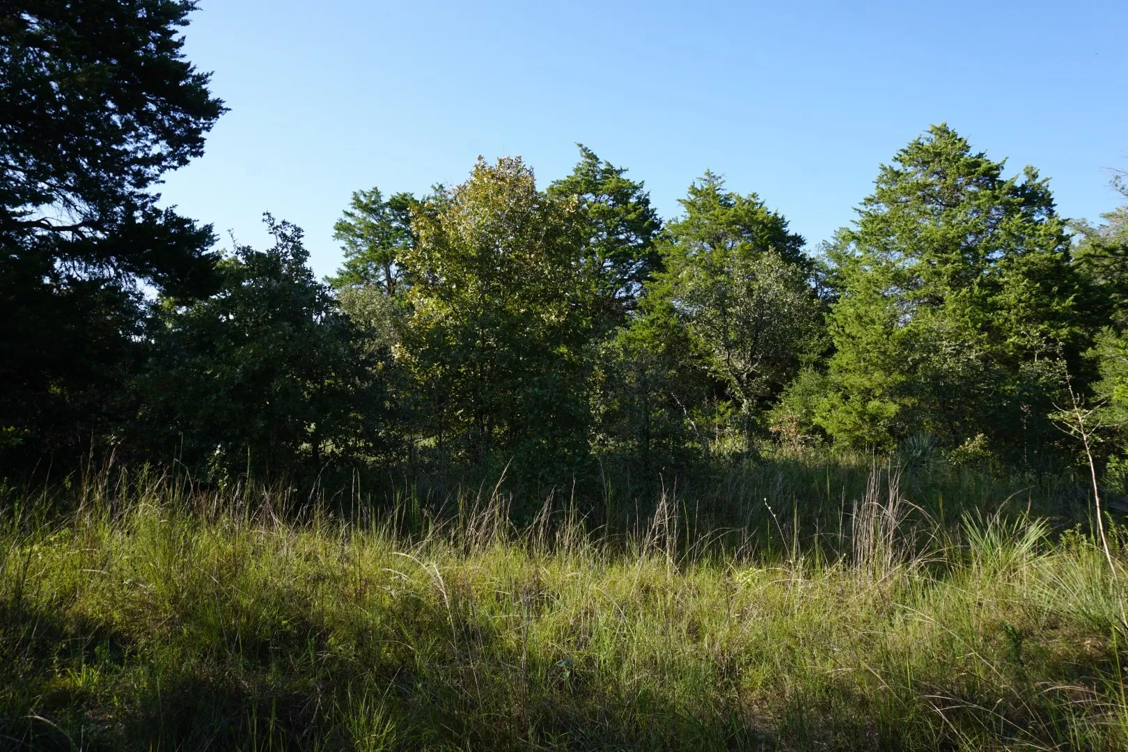 Unimproved Land For Sale in Henderson County , 12641 Private Road 5104, Athens, Texas 75751, 0, 0, Garage spaces, 0 Sqft, built in 0, mls#21391911, Real Estate Agent in Athens, Homes For Sale in Henderson county, Homes For Sale in Athens, Realtor in Athens Texas, Real Estate Brokerage Independent Realty Texas, Luminita Cordes Realtor