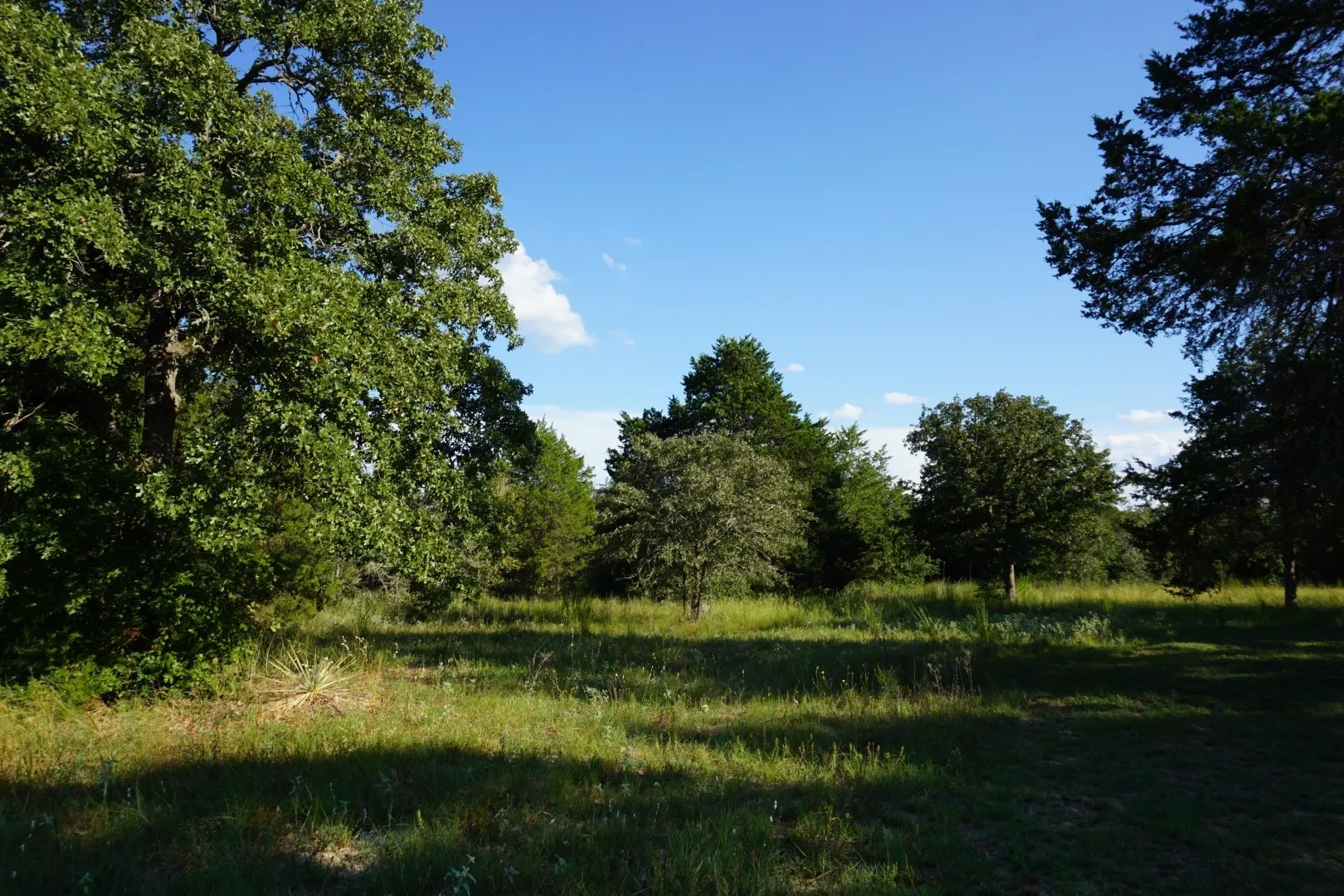 Unimproved Land For Sale in Henderson County , 12641 Private Road 5104, Athens, Texas 75751, 0, 0, Garage spaces, 0 Sqft, built in 0, mls#21391911, Real Estate Agent in Athens, Homes For Sale in Henderson county, Homes For Sale in Athens, Realtor in Athens Texas, Real Estate Brokerage Independent Realty Texas, Luminita Cordes Realtor