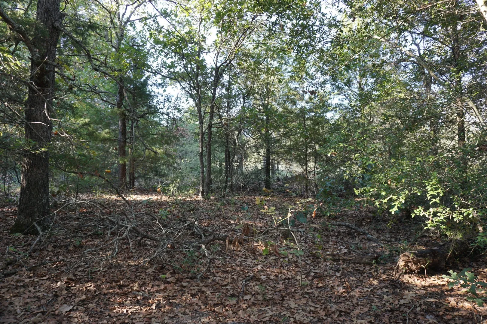 Unimproved Land For Sale in Henderson County , 12641 Private Road 5104, Athens, Texas 75751, 0, 0, Garage spaces, 0 Sqft, built in 0, mls#21391911, Real Estate Agent in Athens, Homes For Sale in Henderson county, Homes For Sale in Athens, Realtor in Athens Texas, Real Estate Brokerage Independent Realty Texas, Luminita Cordes Realtor