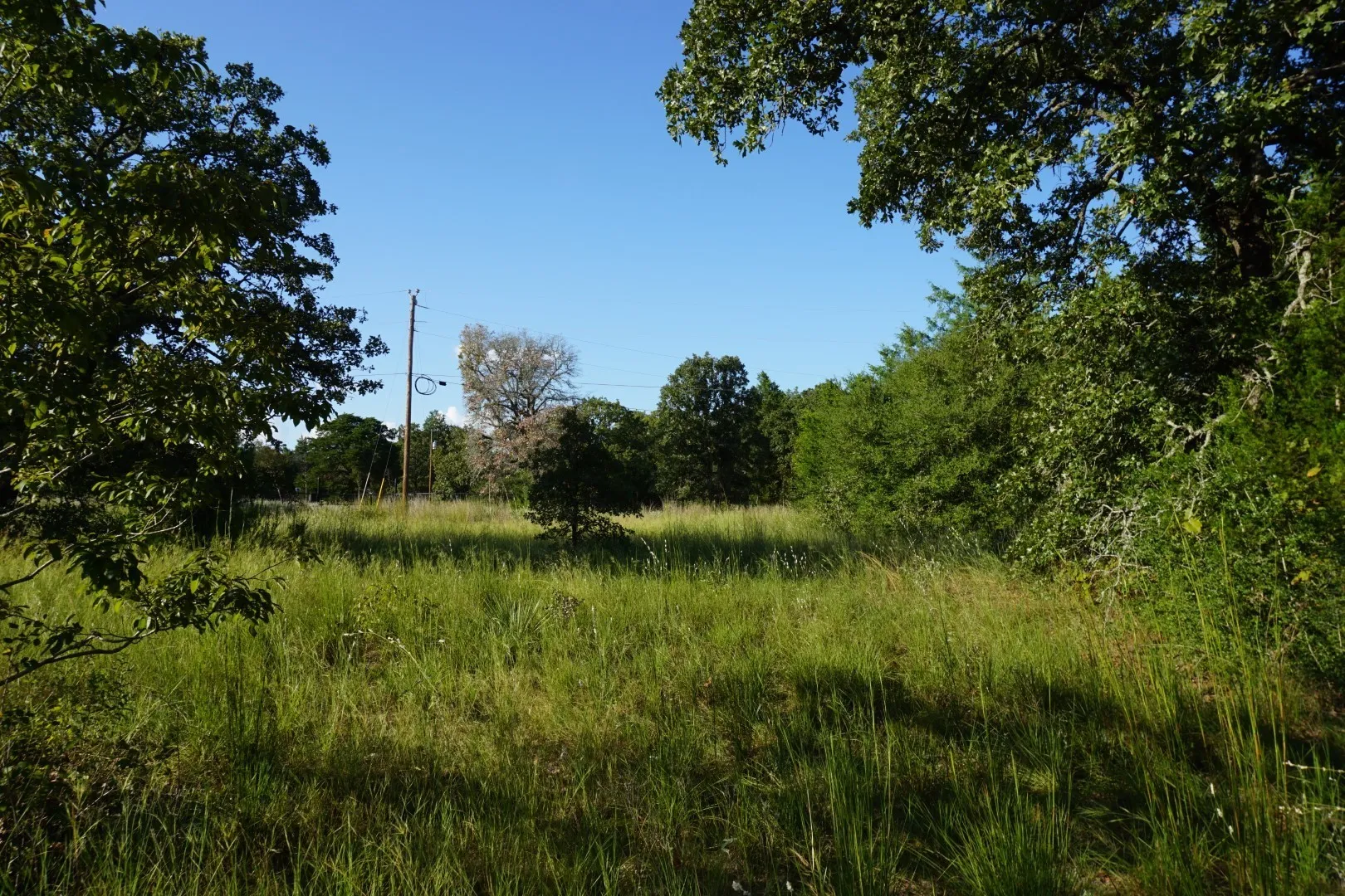 Unimproved Land For Sale in Henderson County , 12641 Private Road 5104, Athens, Texas 75751, 0, 0, Garage spaces, 0 Sqft, built in 0, mls#21391911, Real Estate Agent in Athens, Homes For Sale in Henderson county, Homes For Sale in Athens, Realtor in Athens Texas, Real Estate Brokerage Independent Realty Texas, Luminita Cordes Realtor