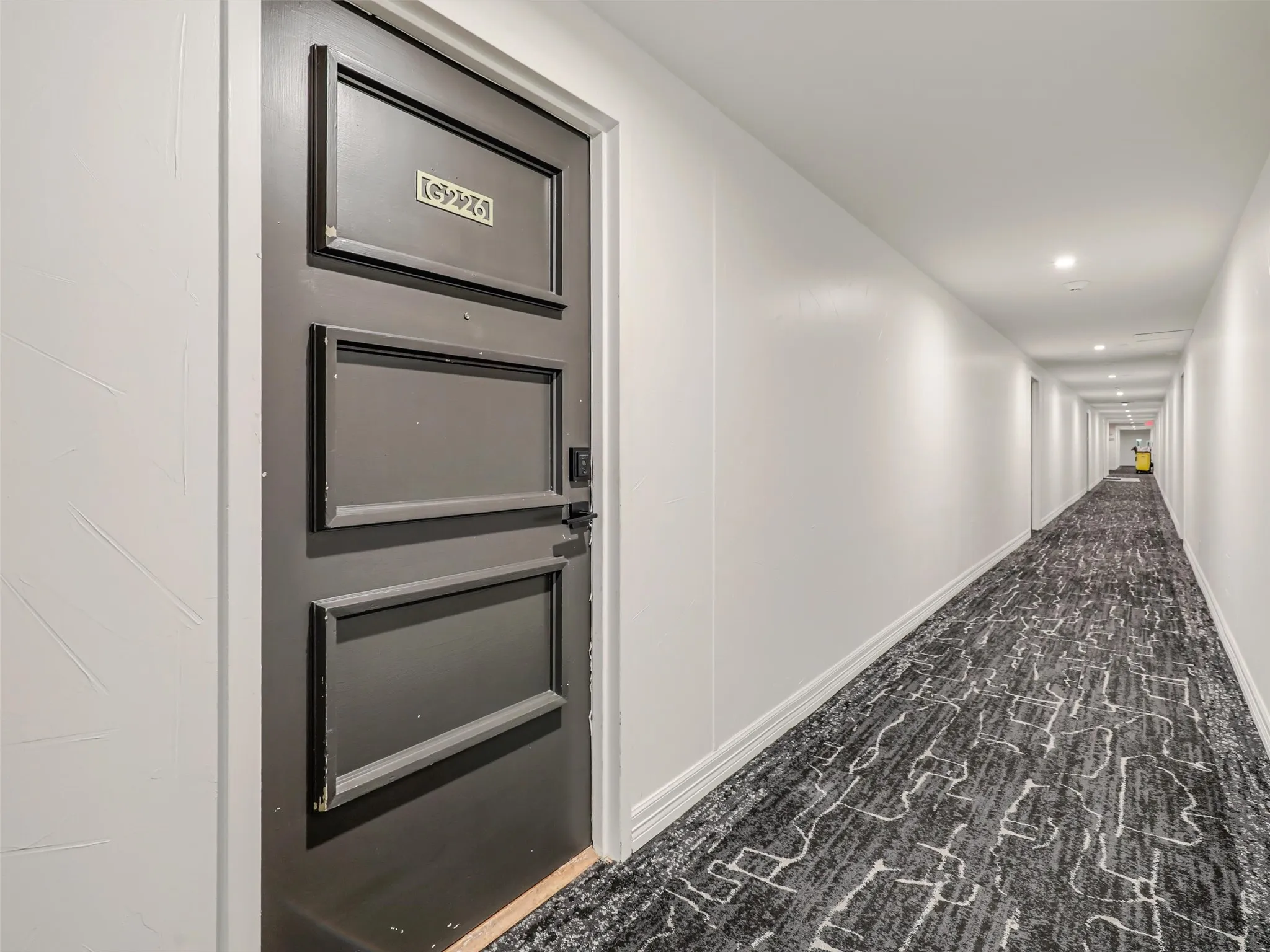 Front door for the home and hallway.