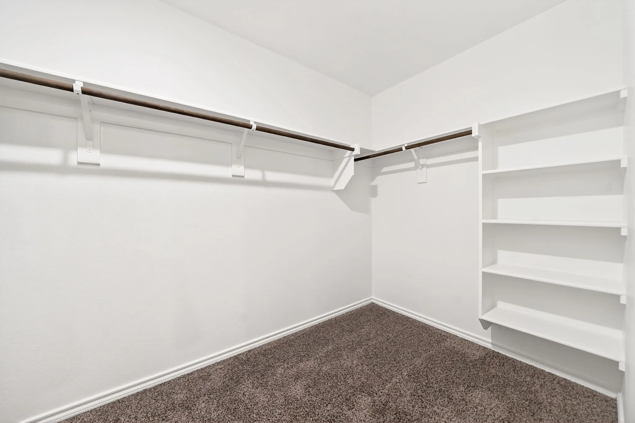 Integrated shelving, multiple clothing rods, and carpeting