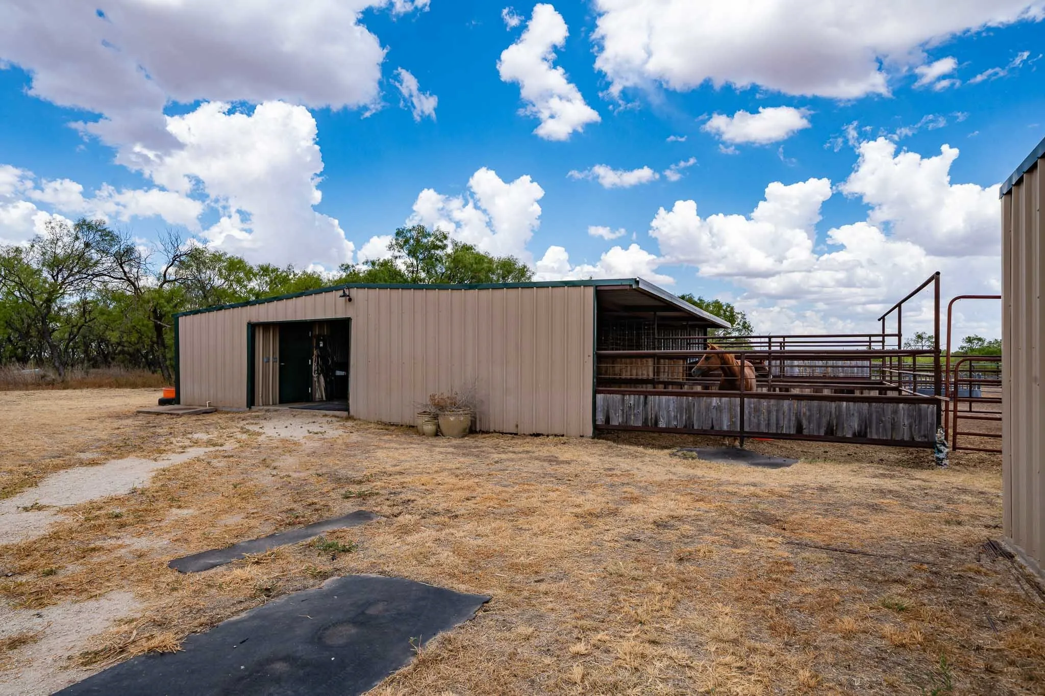 Farm For Sale in Jones County , 3000 FM 1636, Stamford, Texas 79553, 4 Bedroom, 3 Bathroom, Garage spaces, 2,496 Sqft, built in 1998, mls#21391462, Real Estate Agent in Stamford, Homes For Sale in Jones county, Homes For Sale in Stamford, Realtor in Stamford Texas, Real Estate Brokerage Independent Realty Texas, Luminita Cordes Realtor