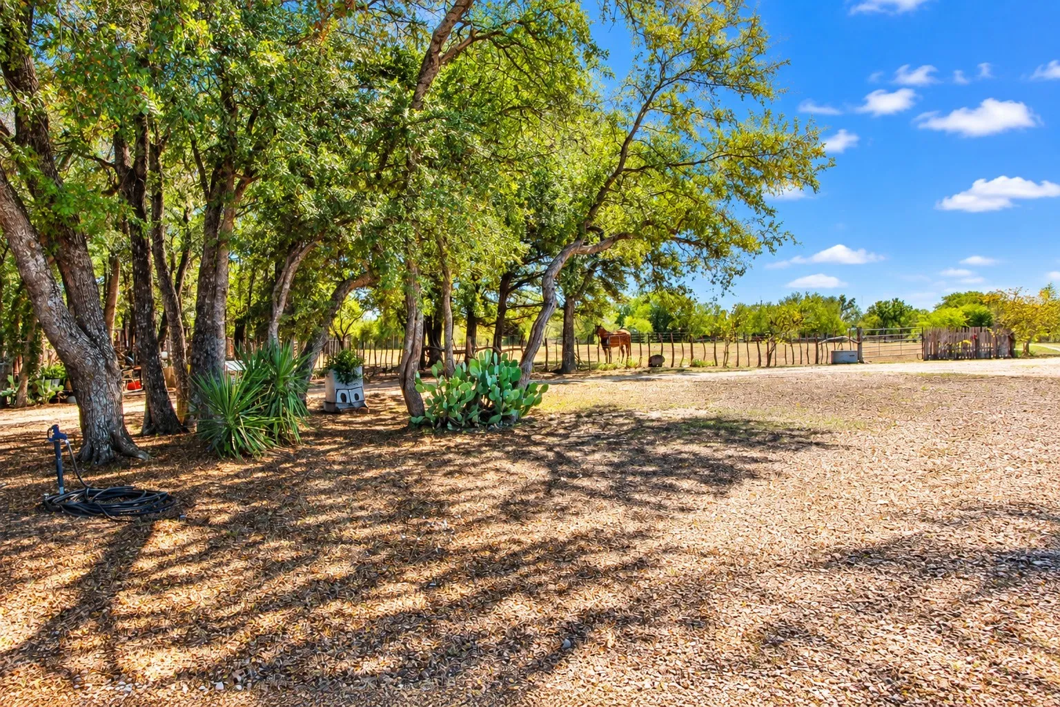 Expansive outdoor area featuring mature trees, natural ground cover, and a rustic perimeter fence
