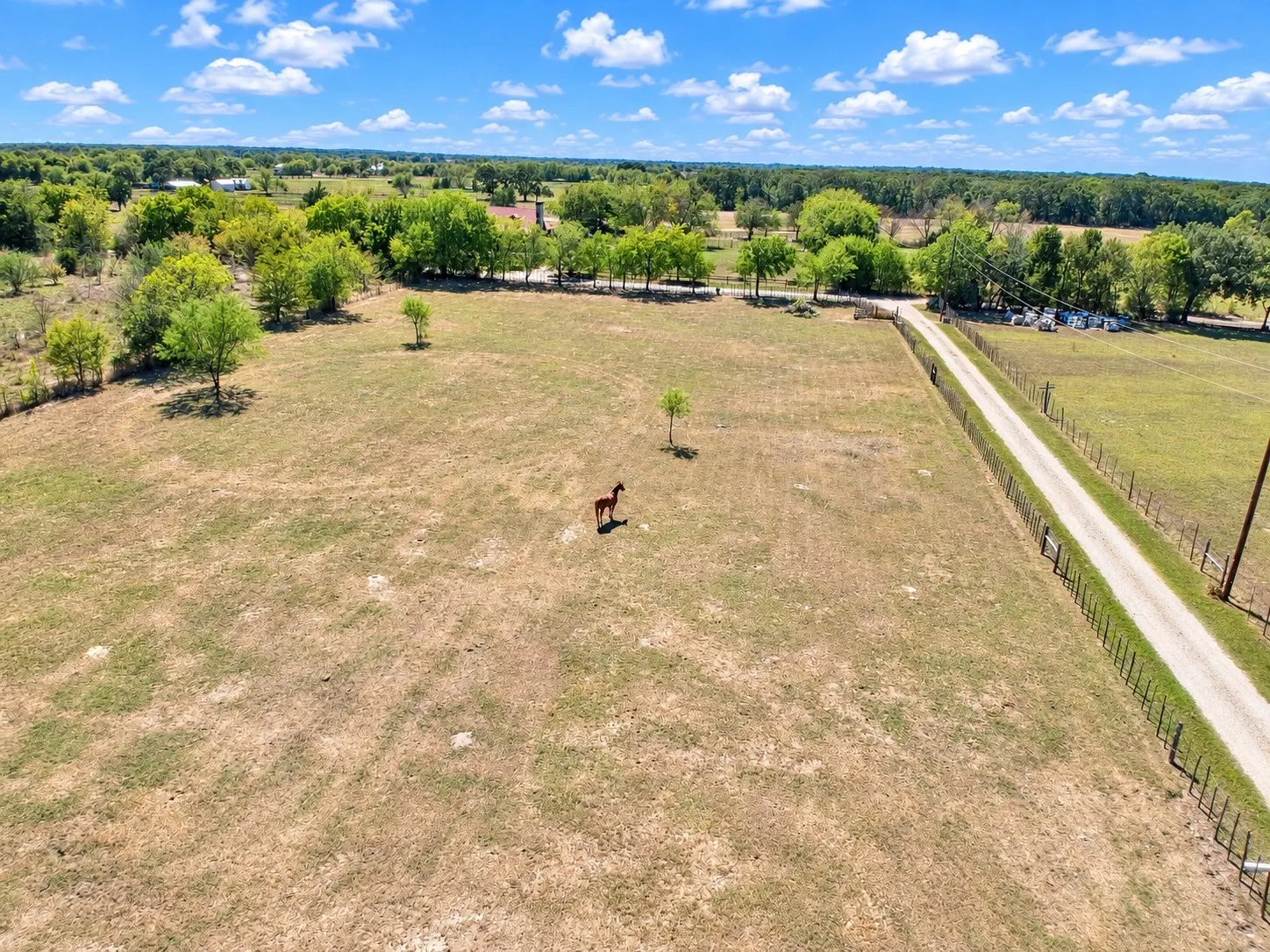 Expansive open field with scattered trees and a winding unpaved road