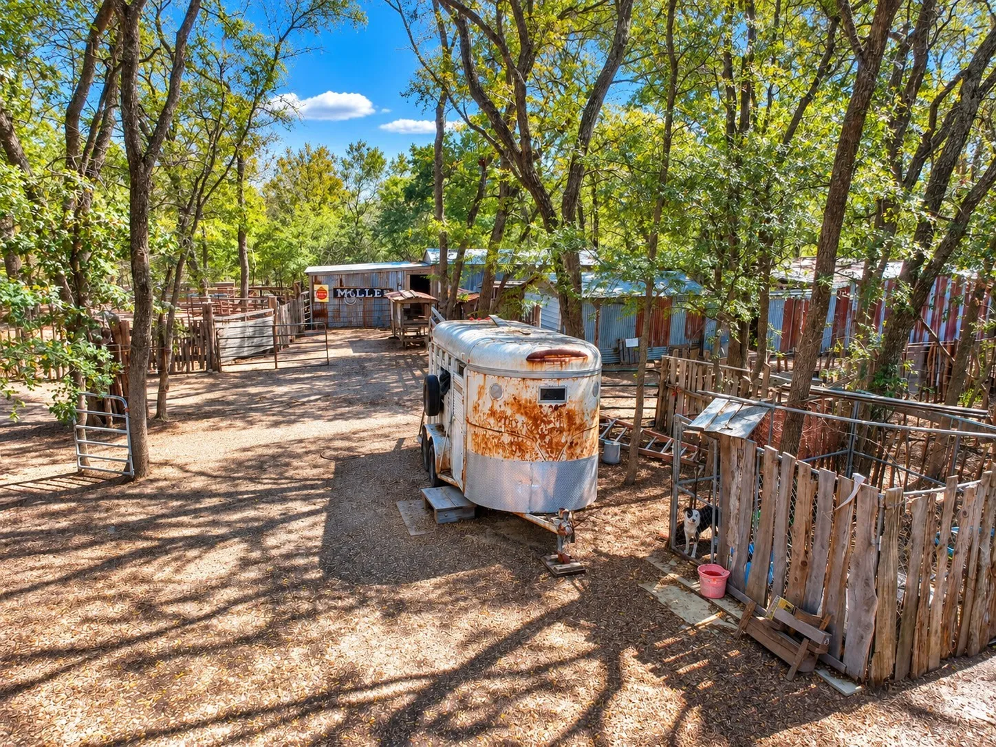 Expansive gravel yard with multiple fenced enclosures and mature shade trees