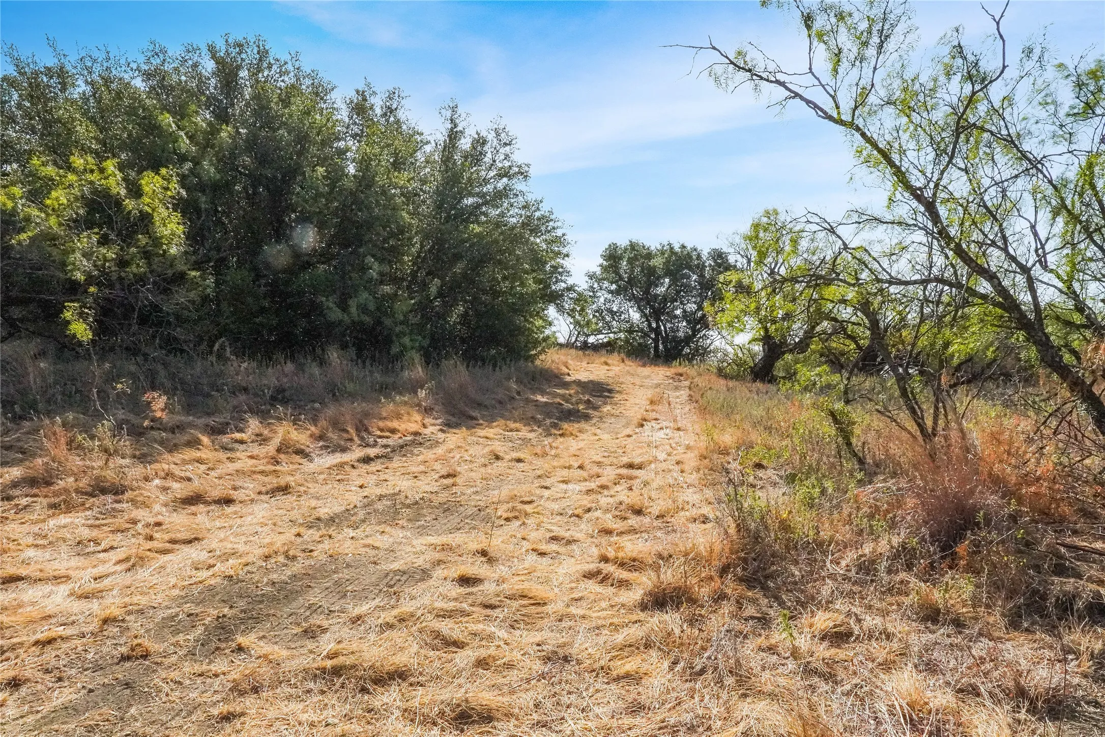 Ranch For Sale in Jack County , TDB Hwy 114, Jacksboro, Texas 76458, 0, 0, Garage spaces, 0 Sqft, built in 0, mls#21390473, Real Estate Agent in Jacksboro, Homes For Sale in Jack county, Homes For Sale in Jacksboro, Realtor in Jacksboro Texas, Real Estate Brokerage Independent Realty Texas, Luminita Cordes Realtor