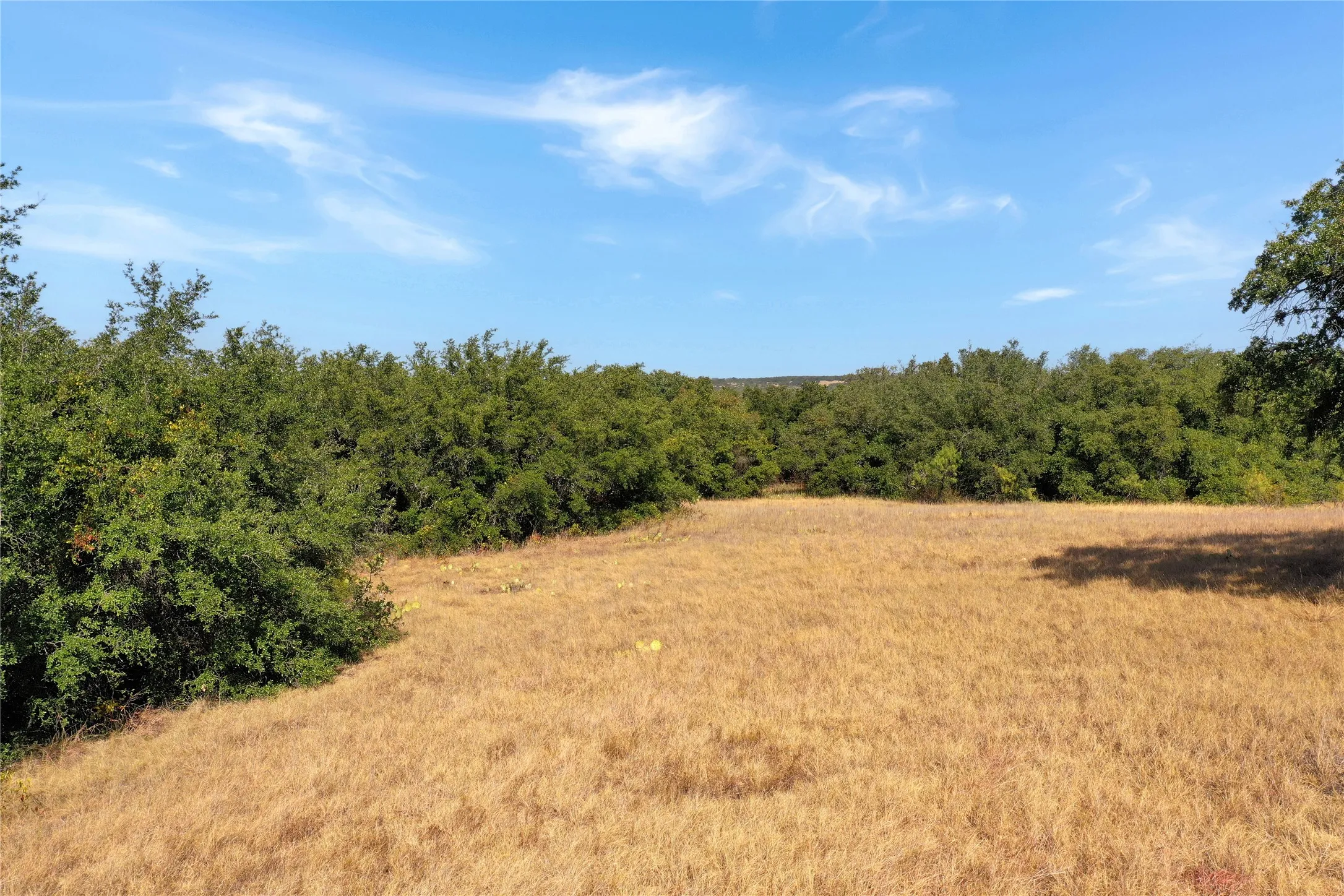Ranch For Sale in Jack County , TDB Hwy 114, Jacksboro, Texas 76458, 0, 0, Garage spaces, 0 Sqft, built in 0, mls#21390473, Real Estate Agent in Jacksboro, Homes For Sale in Jack county, Homes For Sale in Jacksboro, Realtor in Jacksboro Texas, Real Estate Brokerage Independent Realty Texas, Luminita Cordes Realtor