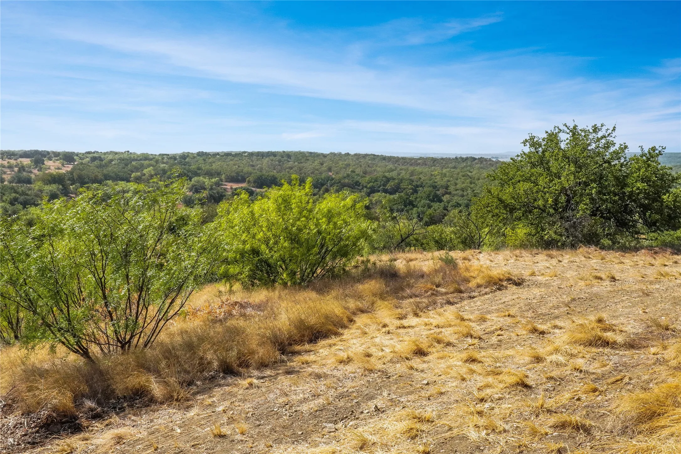 Ranch For Sale in Jack County , TDB Hwy 114, Jacksboro, Texas 76458, 0, 0, Garage spaces, 0 Sqft, built in 0, mls#21390473, Real Estate Agent in Jacksboro, Homes For Sale in Jack county, Homes For Sale in Jacksboro, Realtor in Jacksboro Texas, Real Estate Brokerage Independent Realty Texas, Luminita Cordes Realtor