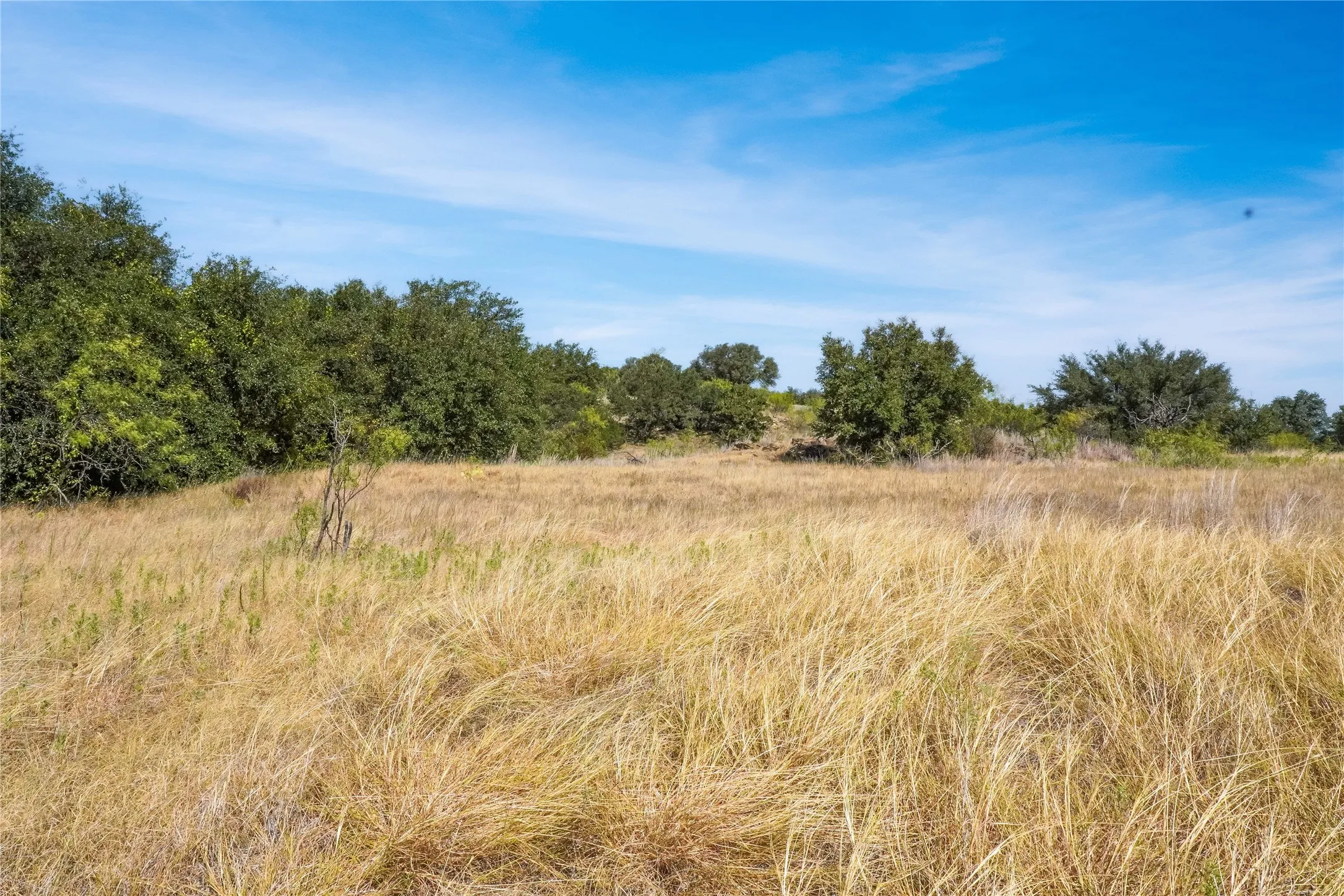Ranch For Sale in Jack County , TDB Hwy 114, Jacksboro, Texas 76458, 0, 0, Garage spaces, 0 Sqft, built in 0, mls#21390473, Real Estate Agent in Jacksboro, Homes For Sale in Jack county, Homes For Sale in Jacksboro, Realtor in Jacksboro Texas, Real Estate Brokerage Independent Realty Texas, Luminita Cordes Realtor