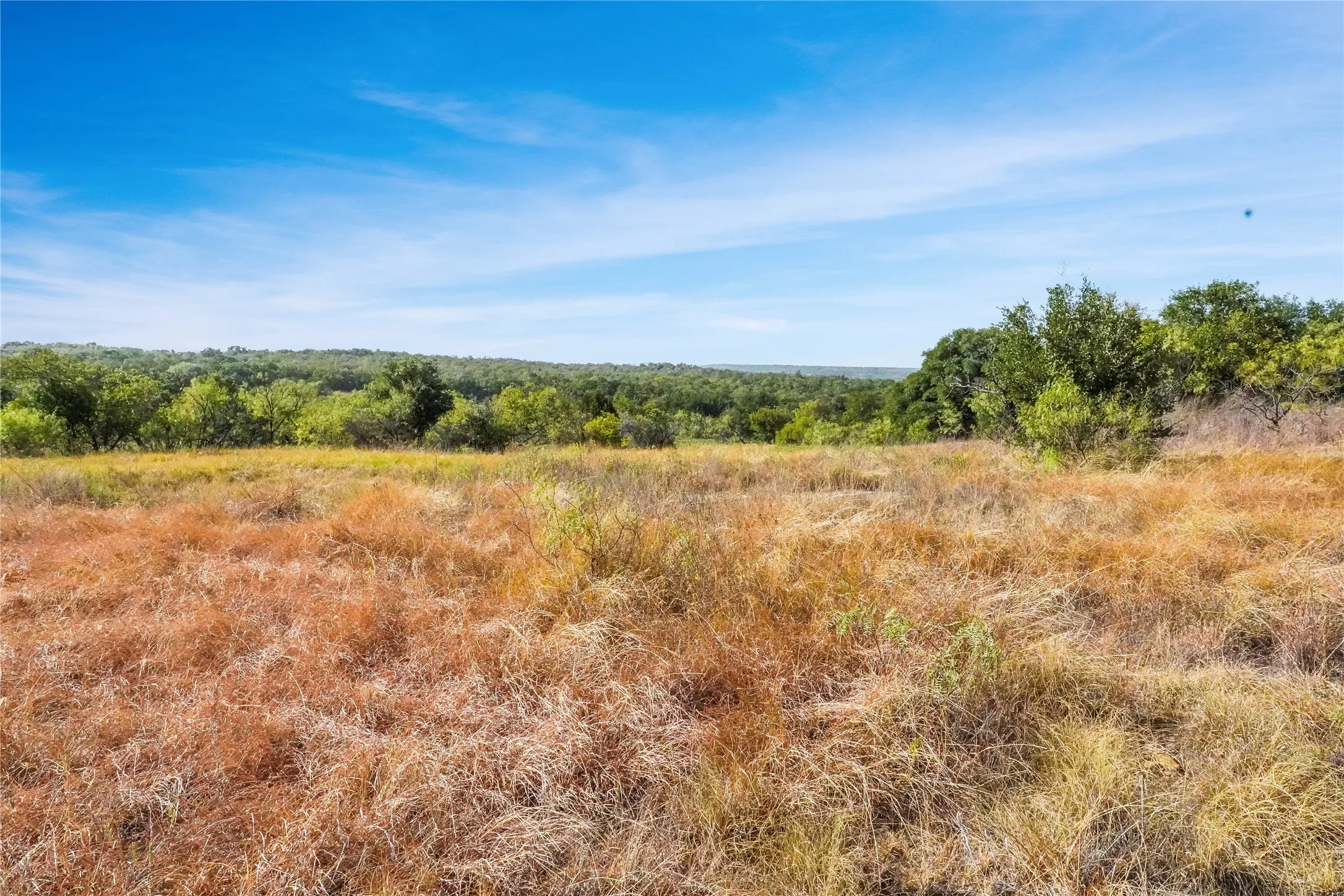 Ranch For Sale in Jack County , TDB Hwy 114, Jacksboro, Texas 76458, 0, 0, Garage spaces, 0 Sqft, built in 0, mls#21390473, Real Estate Agent in Jacksboro, Homes For Sale in Jack county, Homes For Sale in Jacksboro, Realtor in Jacksboro Texas, Real Estate Brokerage Independent Realty Texas, Luminita Cordes Realtor