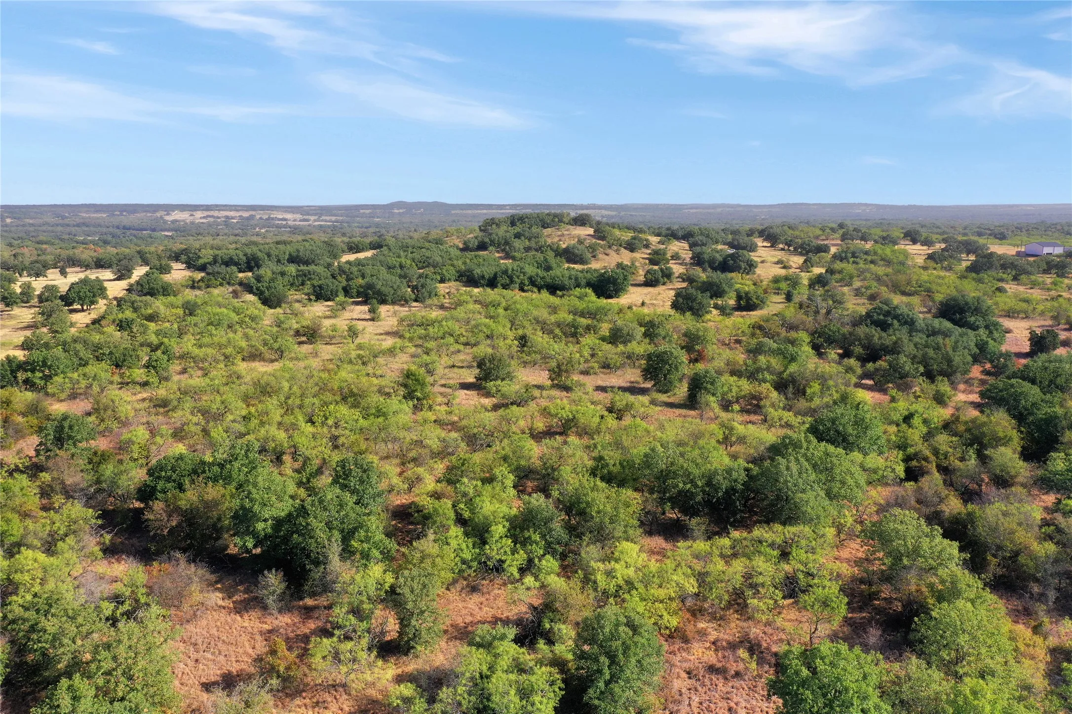 Ranch For Sale in Jack County , TDB Hwy 114, Jacksboro, Texas 76458, 0, 0, Garage spaces, 0 Sqft, built in 0, mls#21390473, Real Estate Agent in Jacksboro, Homes For Sale in Jack county, Homes For Sale in Jacksboro, Realtor in Jacksboro Texas, Real Estate Brokerage Independent Realty Texas, Luminita Cordes Realtor