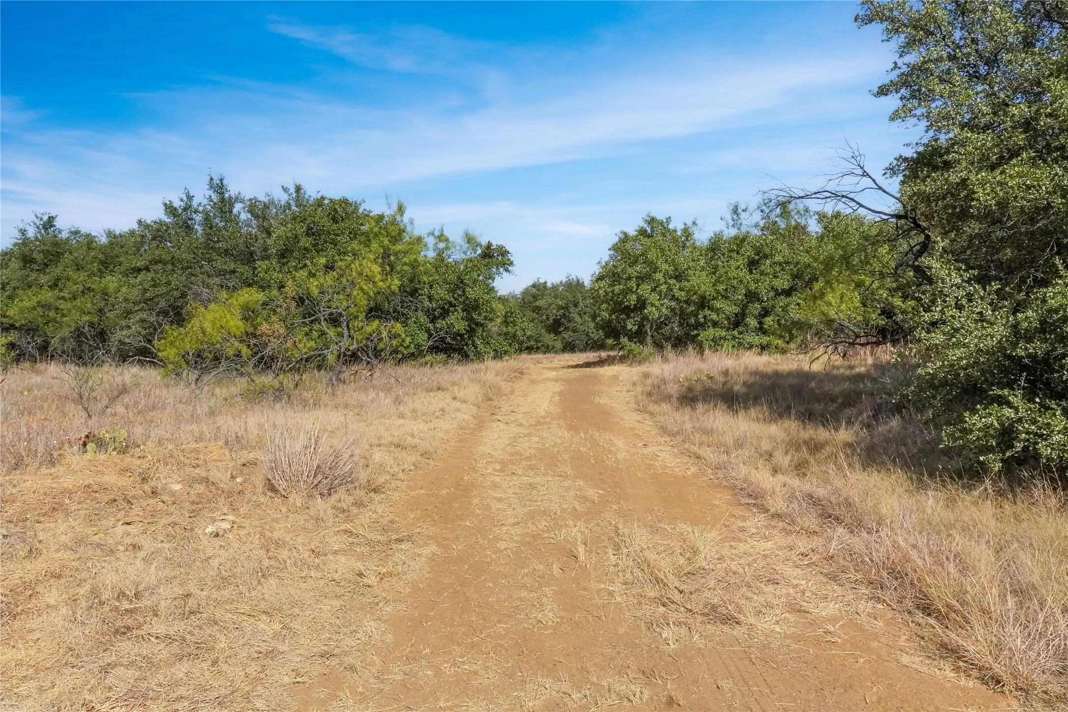 Ranch For Sale in Jack County , TDB Hwy 114, Jacksboro, Texas 76458, 0, 0, Garage spaces, 0 Sqft, built in 0, mls#21390473, Real Estate Agent in Jacksboro, Homes For Sale in Jack county, Homes For Sale in Jacksboro, Realtor in Jacksboro Texas, Real Estate Brokerage Independent Realty Texas, Luminita Cordes Realtor