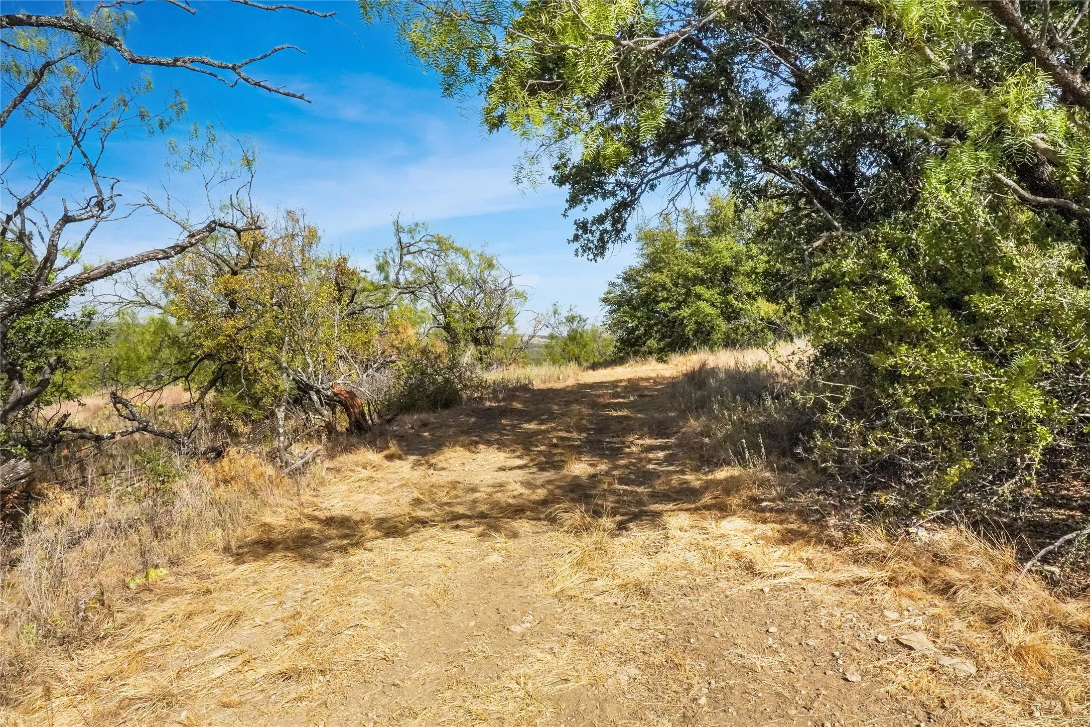 Ranch For Sale in Jack County , TDB Hwy 114, Jacksboro, Texas 76458, 0, 0, Garage spaces, 0 Sqft, built in 0, mls#21390473, Real Estate Agent in Jacksboro, Homes For Sale in Jack county, Homes For Sale in Jacksboro, Realtor in Jacksboro Texas, Real Estate Brokerage Independent Realty Texas, Luminita Cordes Realtor