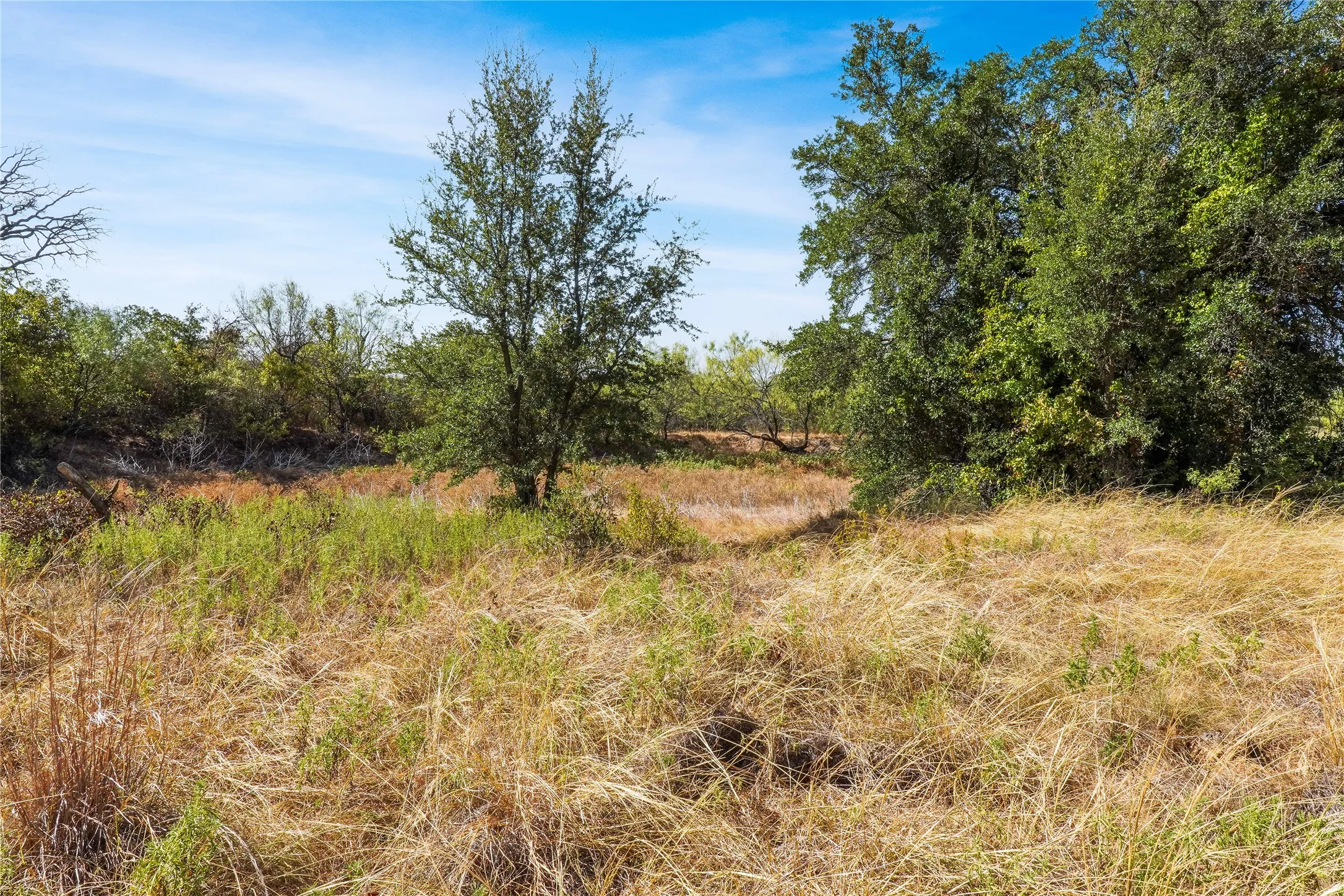 Ranch For Sale in Jack County , TDB Hwy 114, Jacksboro, Texas 76458, 0, 0, Garage spaces, 0 Sqft, built in 0, mls#21390473, Real Estate Agent in Jacksboro, Homes For Sale in Jack county, Homes For Sale in Jacksboro, Realtor in Jacksboro Texas, Real Estate Brokerage Independent Realty Texas, Luminita Cordes Realtor