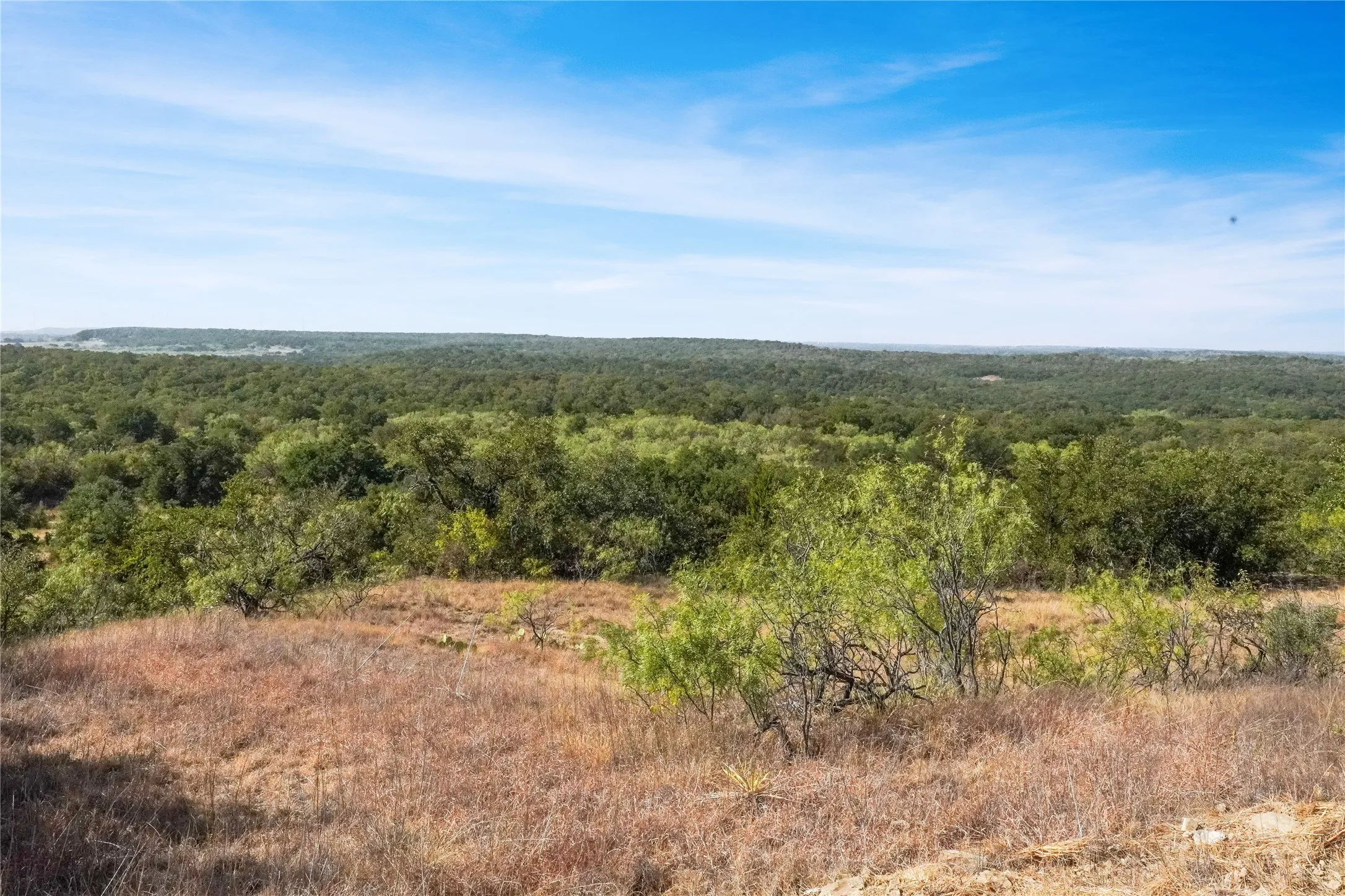 Ranch For Sale in Jack County , TDB Hwy 114, Jacksboro, Texas 76458, 0, 0, Garage spaces, 0 Sqft, built in 0, mls#21390473, Real Estate Agent in Jacksboro, Homes For Sale in Jack county, Homes For Sale in Jacksboro, Realtor in Jacksboro Texas, Real Estate Brokerage Independent Realty Texas, Luminita Cordes Realtor