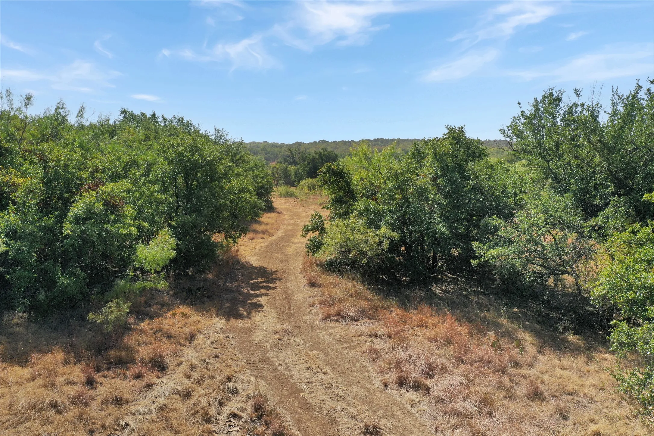 Ranch For Sale in Jack County , TDB Hwy 114, Jacksboro, Texas 76458, 0, 0, Garage spaces, 0 Sqft, built in 0, mls#21390473, Real Estate Agent in Jacksboro, Homes For Sale in Jack county, Homes For Sale in Jacksboro, Realtor in Jacksboro Texas, Real Estate Brokerage Independent Realty Texas, Luminita Cordes Realtor