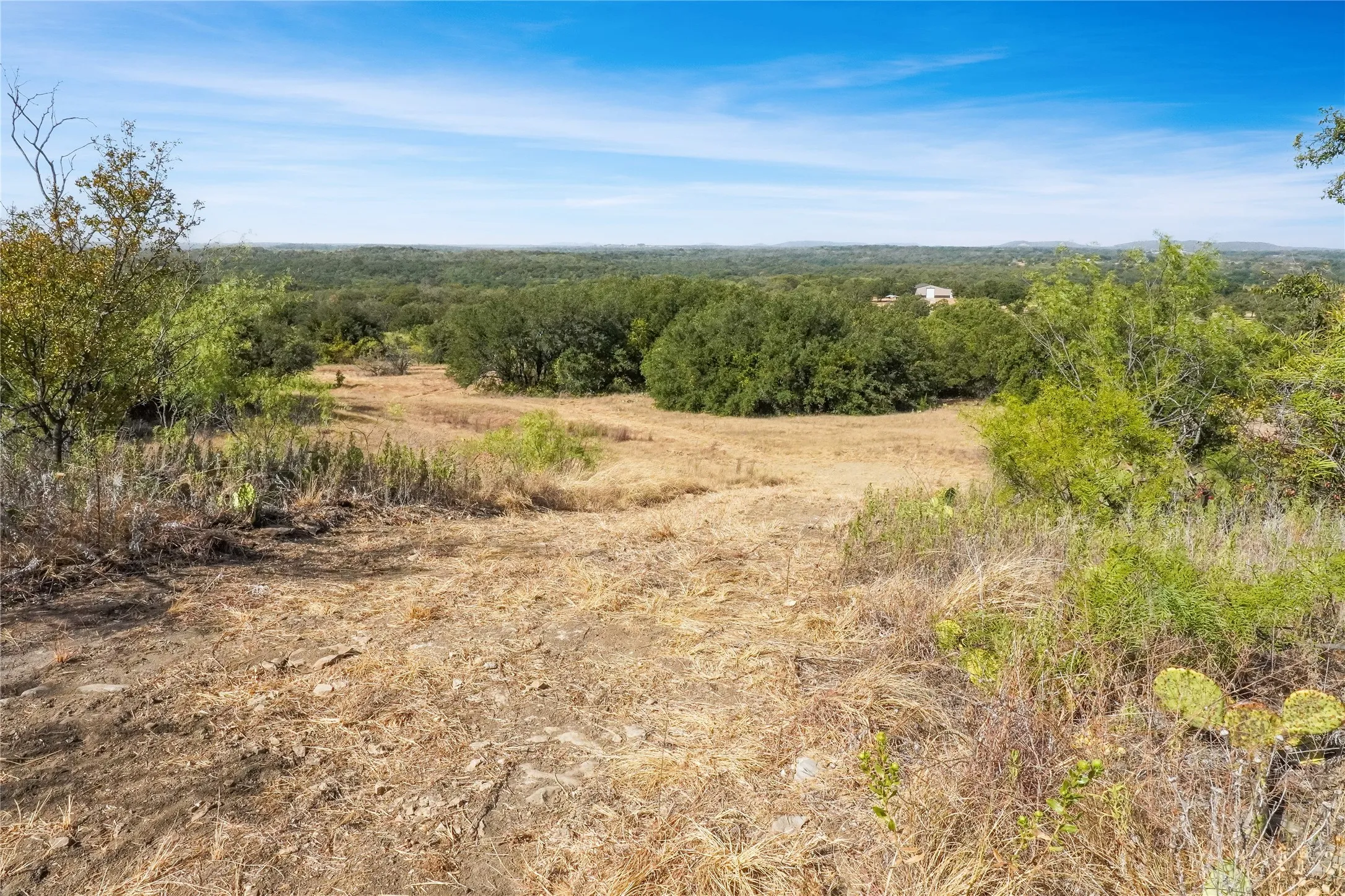 Ranch For Sale in Jack County , TDB Hwy 114, Jacksboro, Texas 76458, 0, 0, Garage spaces, 0 Sqft, built in 0, mls#21390473, Real Estate Agent in Jacksboro, Homes For Sale in Jack county, Homes For Sale in Jacksboro, Realtor in Jacksboro Texas, Real Estate Brokerage Independent Realty Texas, Luminita Cordes Realtor
