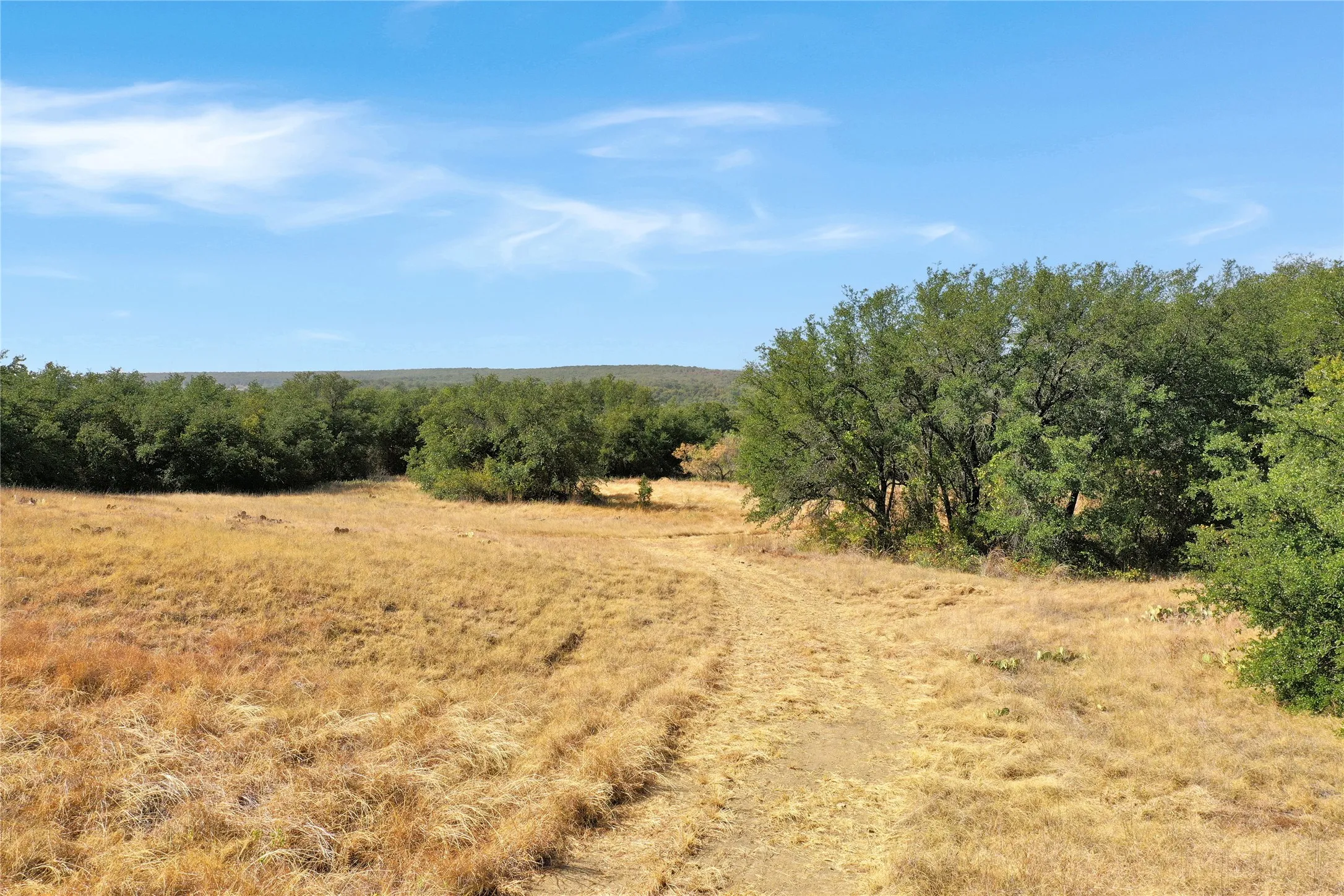 Ranch For Sale in Jack County , TDB Hwy 114, Jacksboro, Texas 76458, 0, 0, Garage spaces, 0 Sqft, built in 0, mls#21390473, Real Estate Agent in Jacksboro, Homes For Sale in Jack county, Homes For Sale in Jacksboro, Realtor in Jacksboro Texas, Real Estate Brokerage Independent Realty Texas, Luminita Cordes Realtor