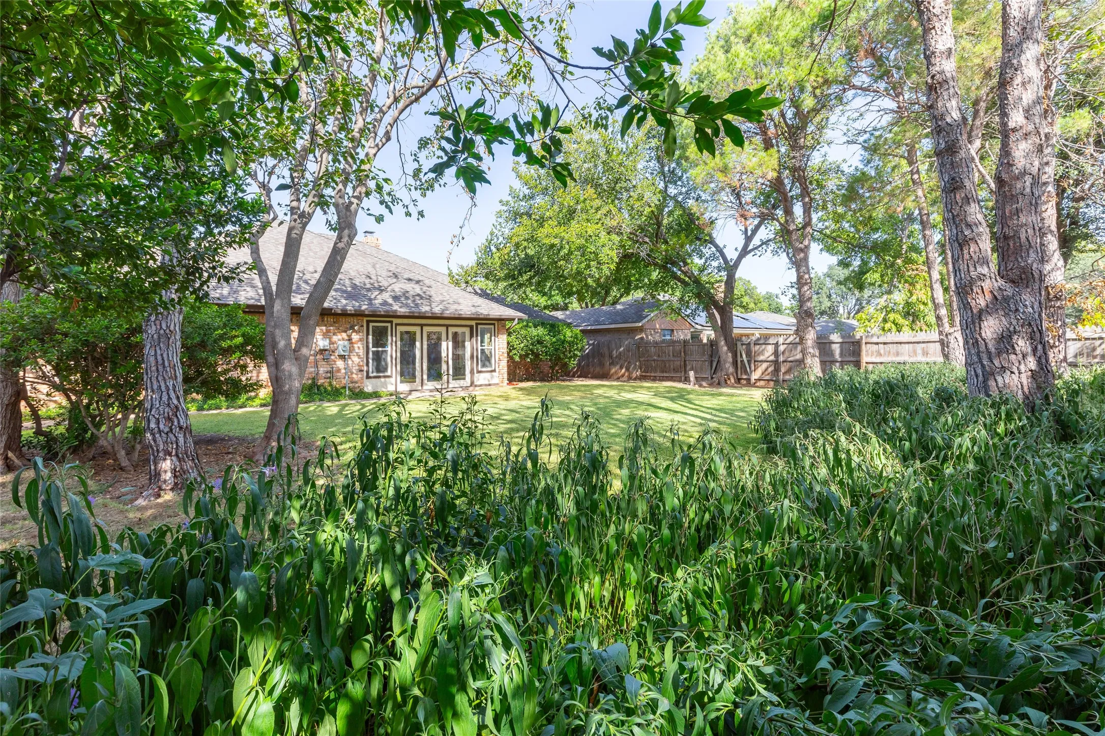 Expansive backyard featuring a manicured lawn, mature trees, and a privacy fence