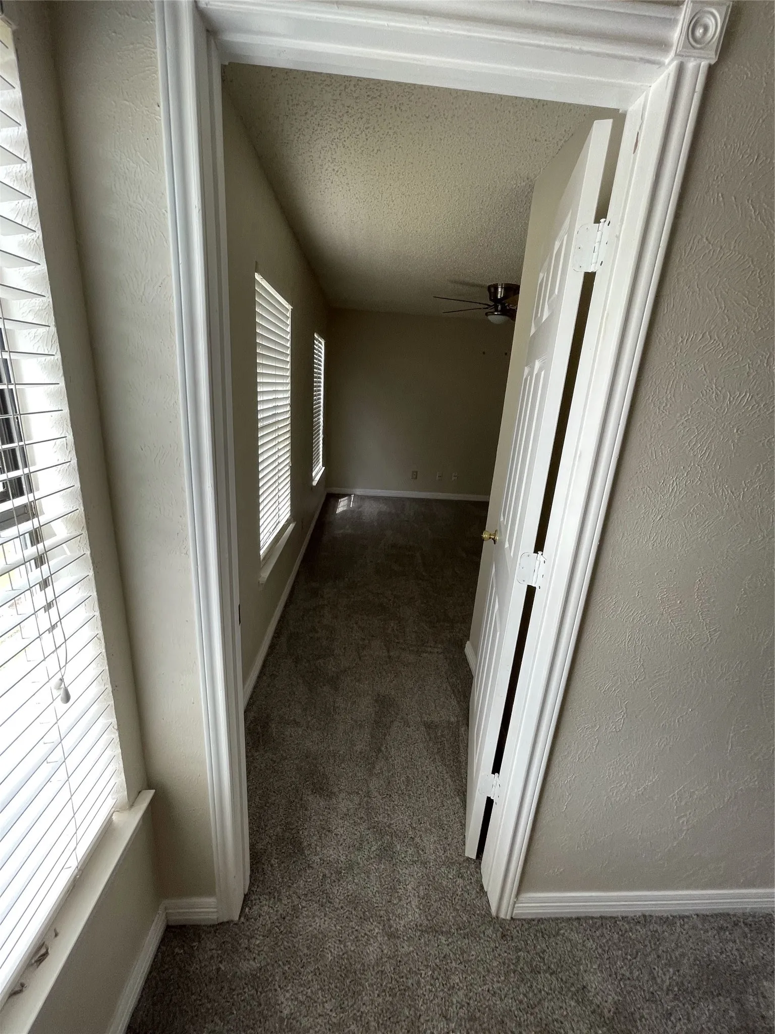 Room featuring gray carpet flooring, multiple windows with blinds, a ceiling fan, and white trim