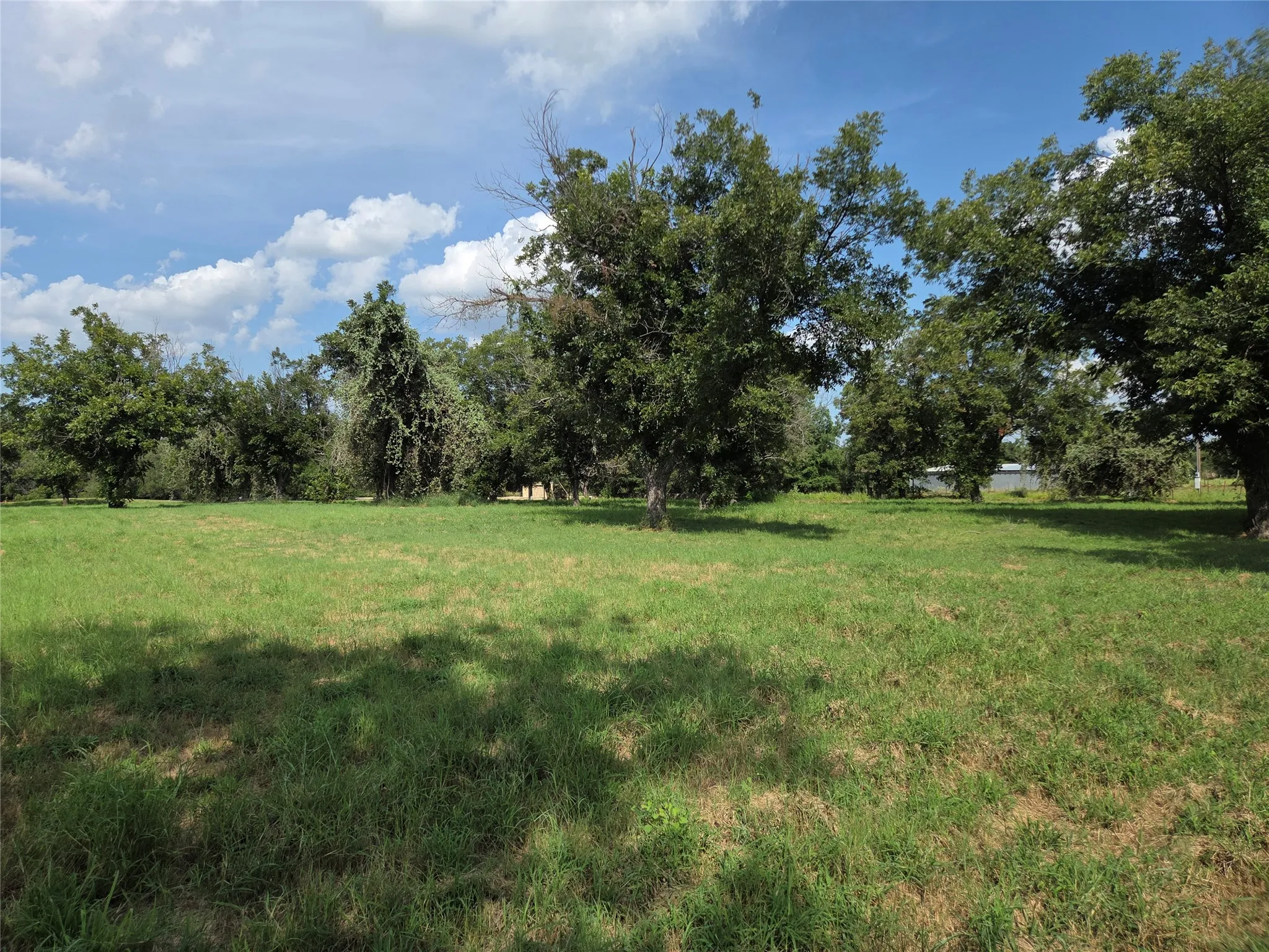 Expansive green space with mature trees